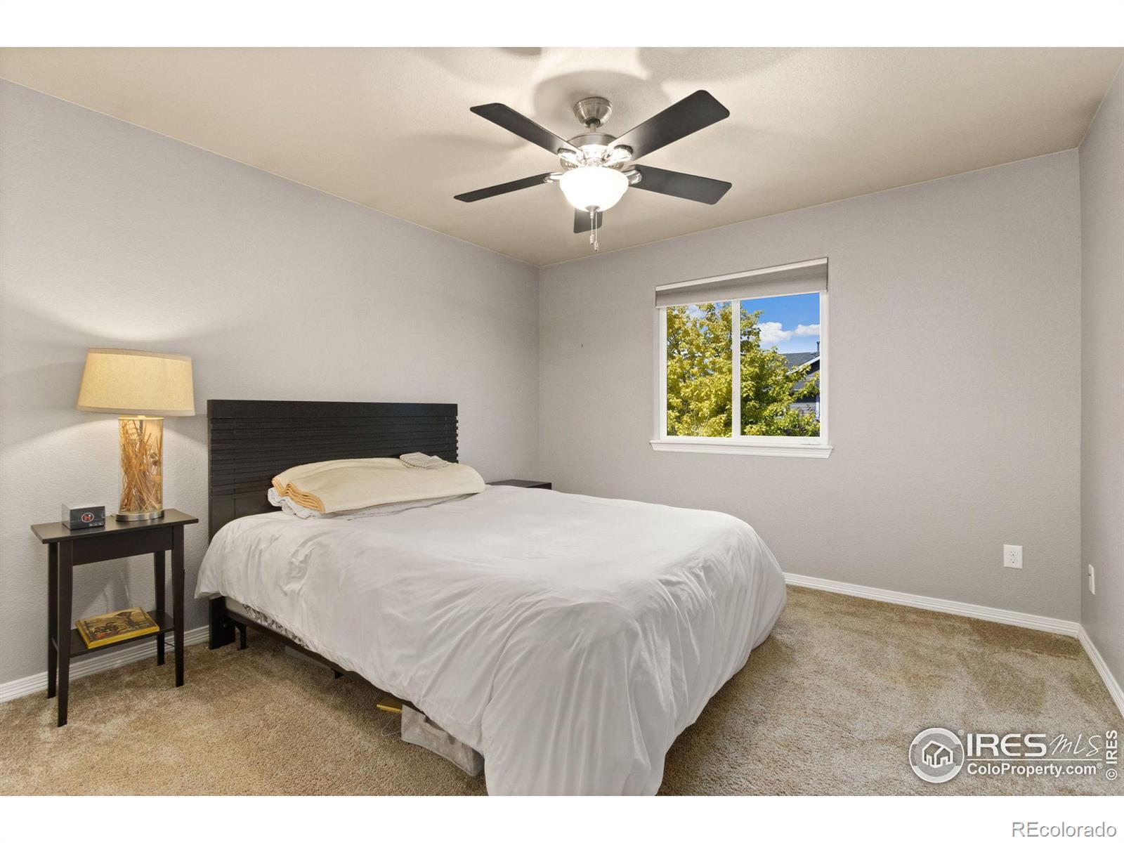 MLS Image #18 for 493  sundance drive,windsor, Colorado