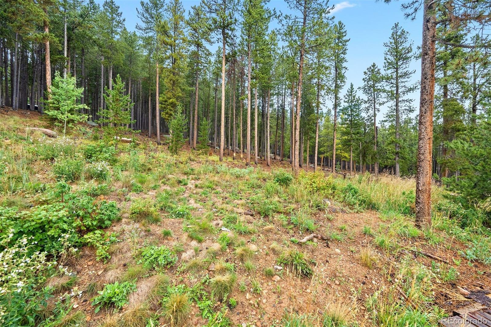 MLS Image #36 for 147  ute trail,evergreen, Colorado