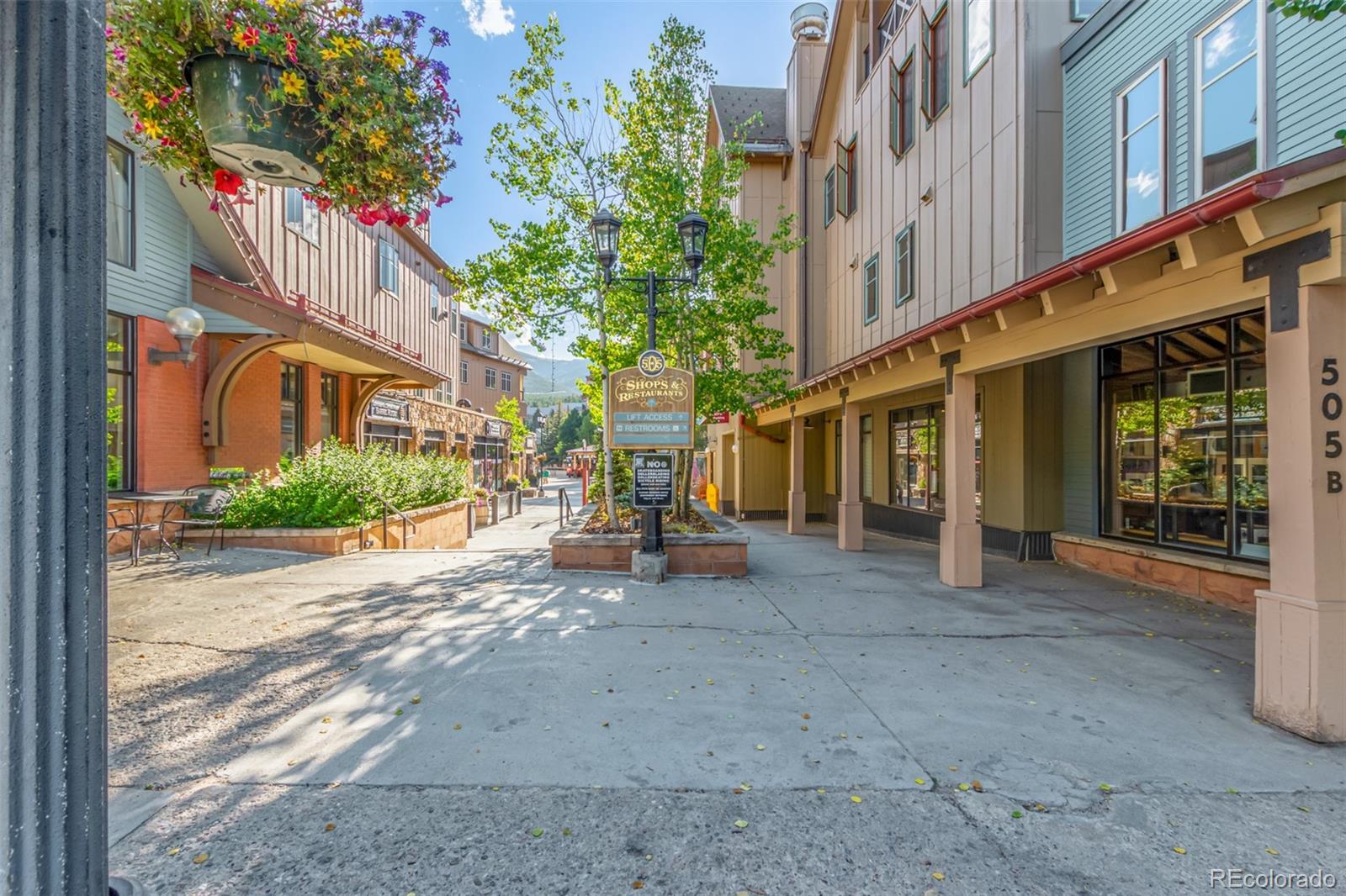 MLS Image #13 for 505 s main street,breckenridge, Colorado