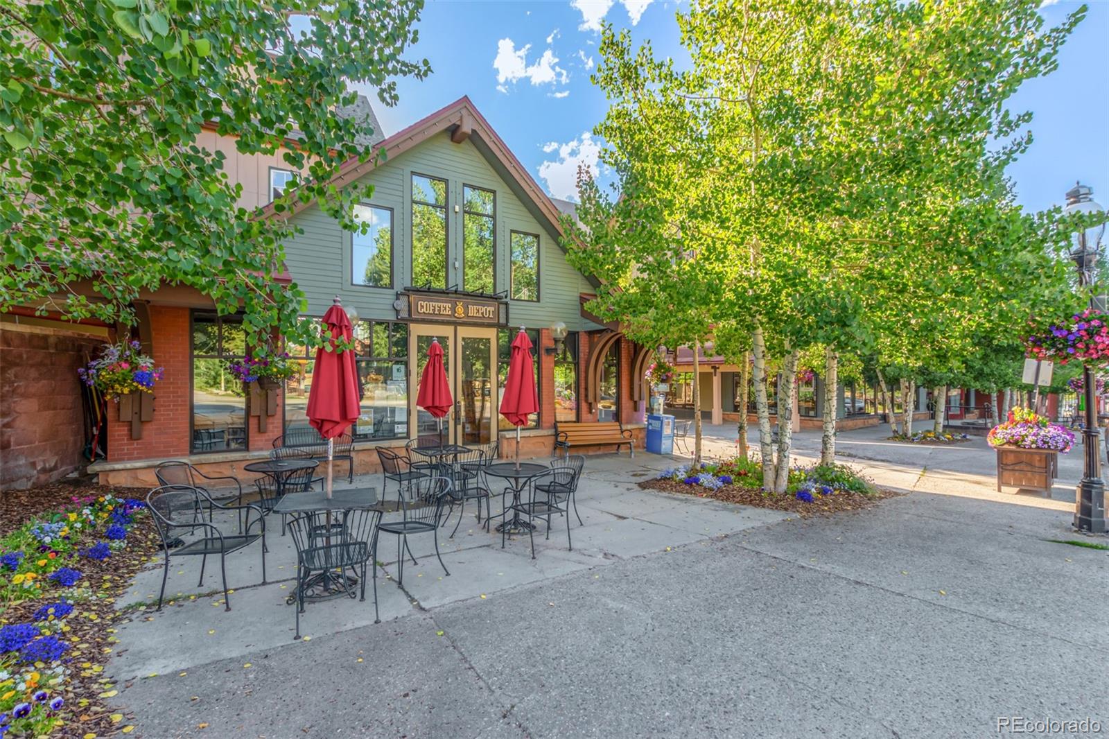 MLS Image #14 for 505 s main street,breckenridge, Colorado