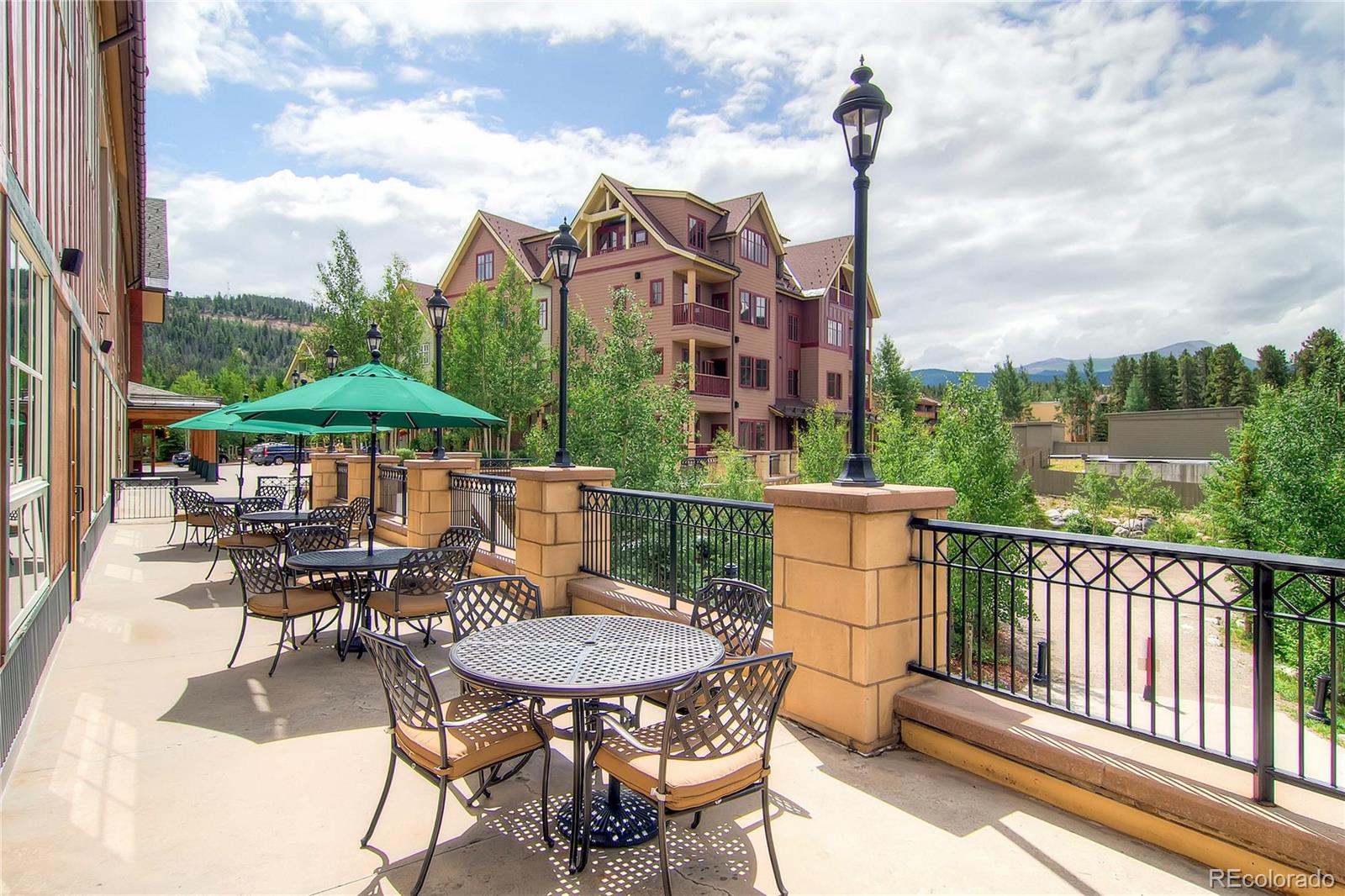 MLS Image #24 for 505 s main street,breckenridge, Colorado