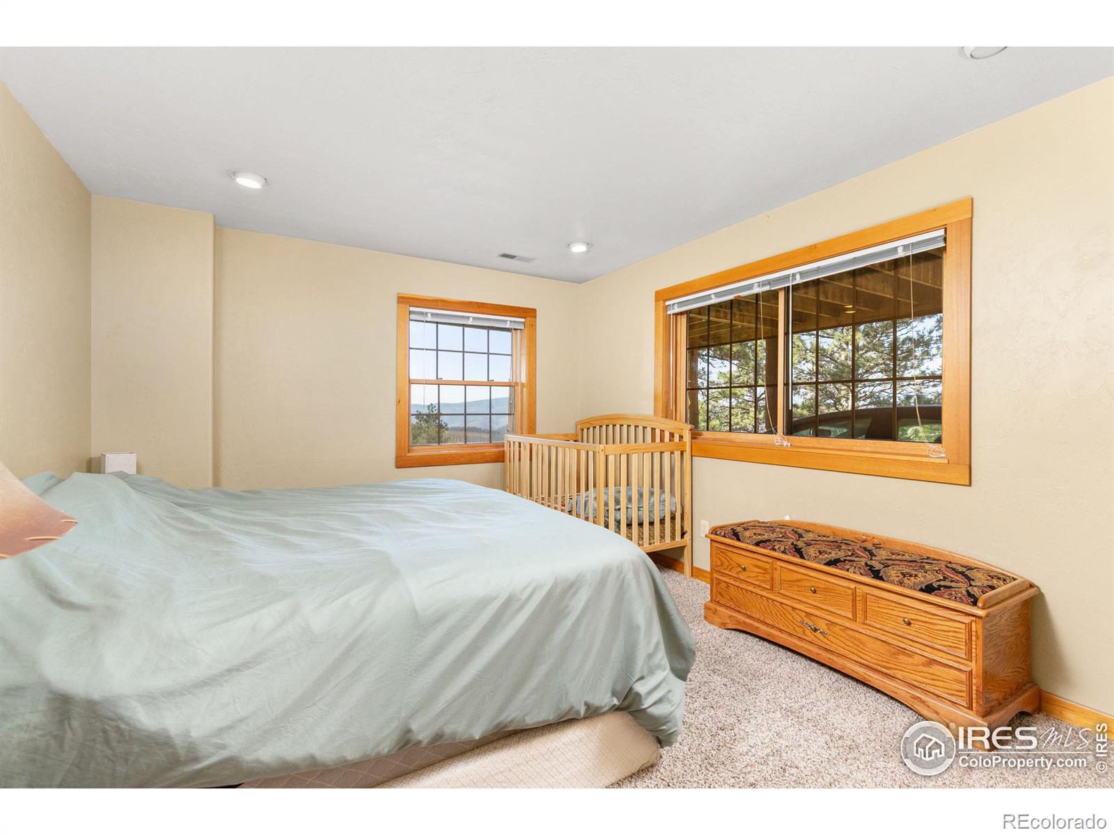 MLS Image #26 for 274  iron mountain drive,livermore, Colorado