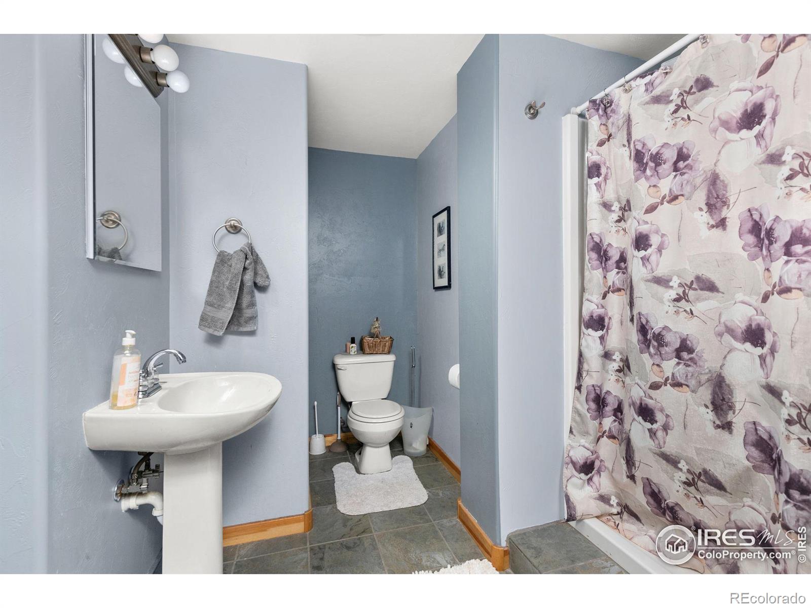 MLS Image #28 for 274  iron mountain drive,livermore, Colorado