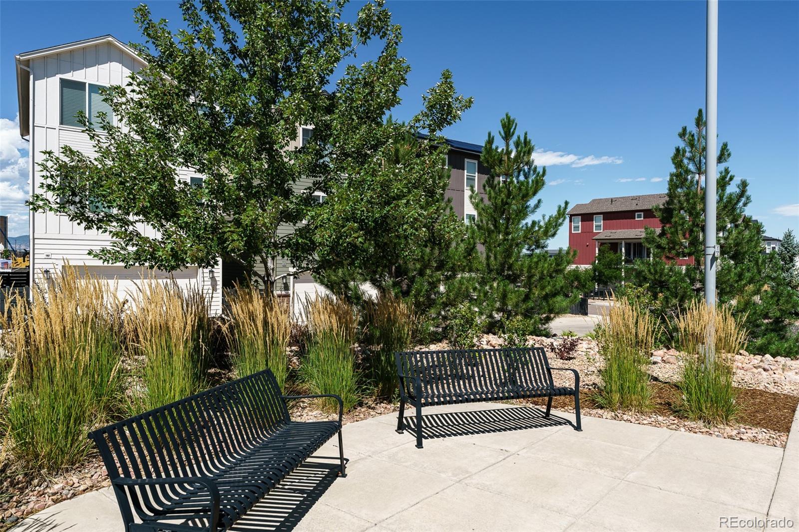 MLS Image #28 for 9025  southurst street,highlands ranch, Colorado