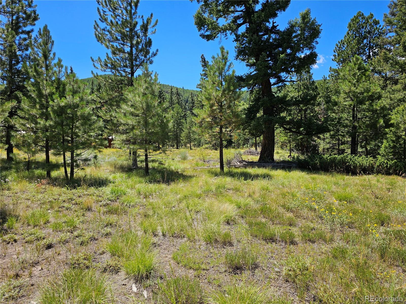 MLS Image #35 for 71  quail ridge ,antonito, Colorado