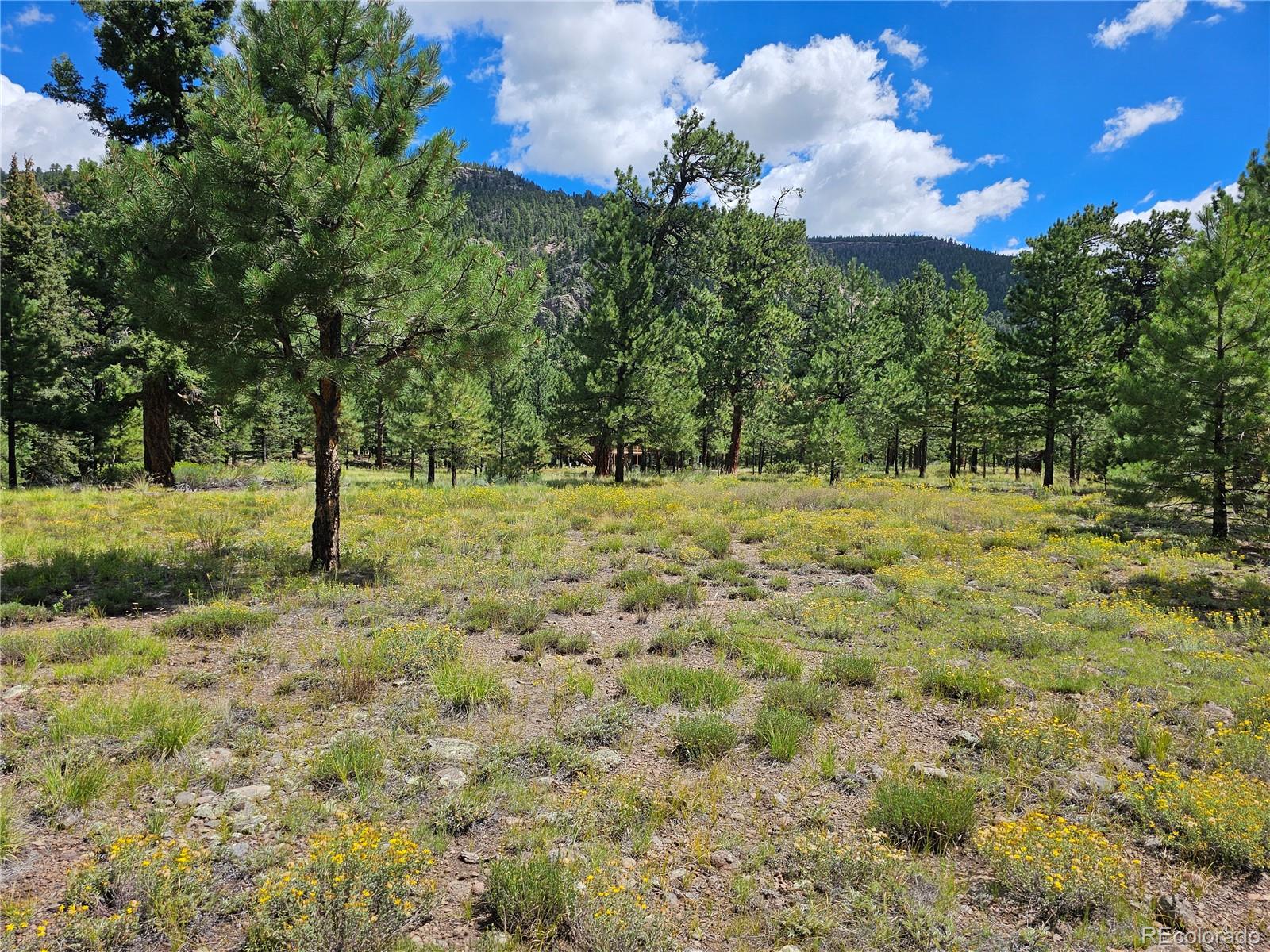 MLS Image #36 for 71  quail ridge ,antonito, Colorado