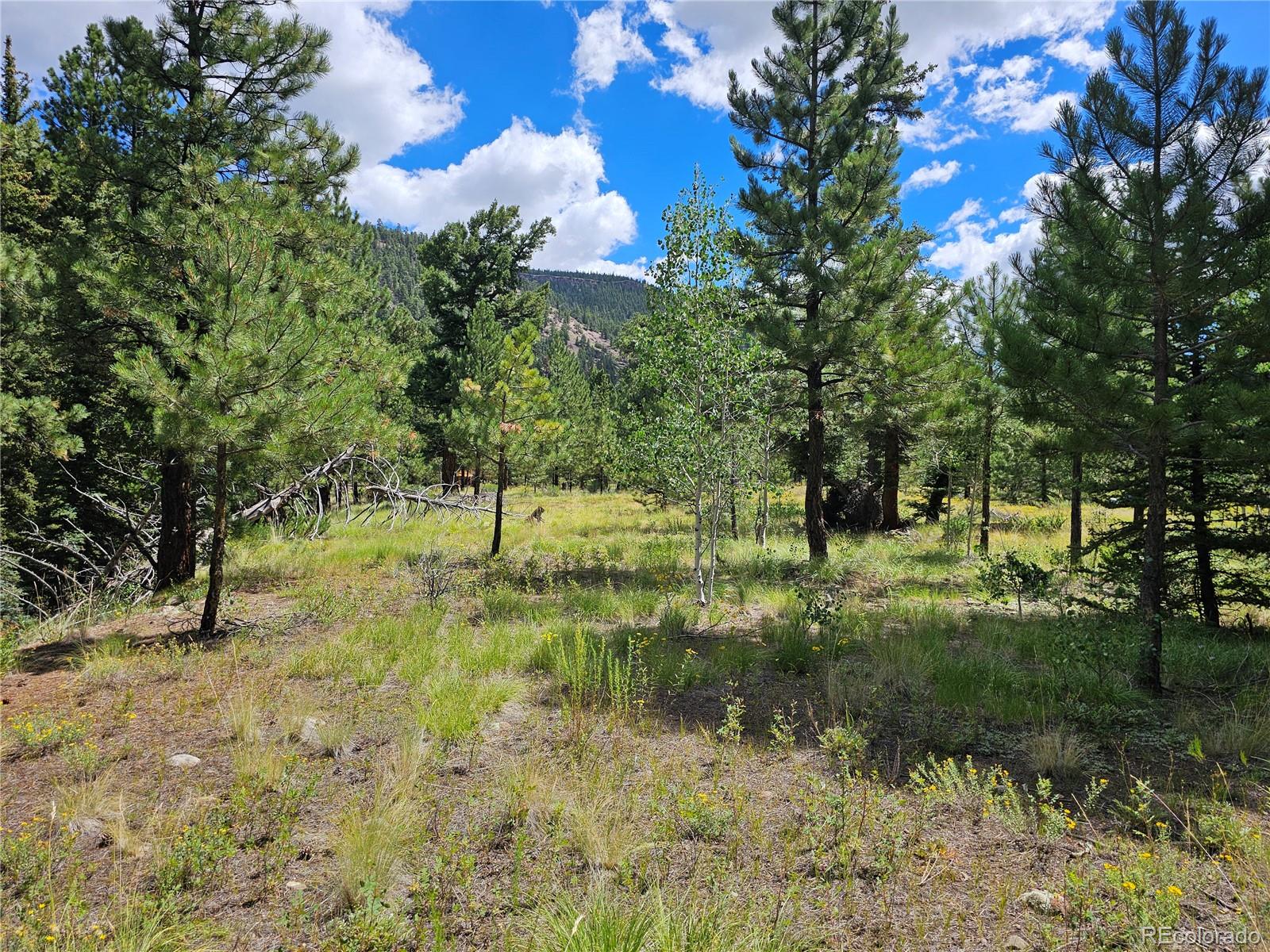 MLS Image #37 for 71  quail ridge ,antonito, Colorado