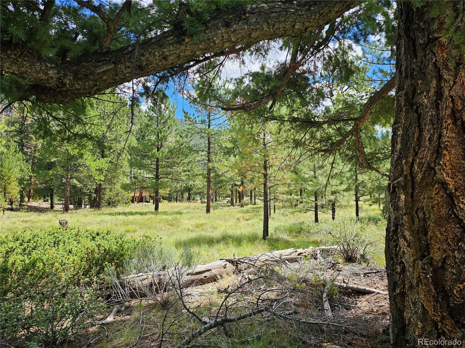 MLS Image #38 for 71  quail ridge ,antonito, Colorado