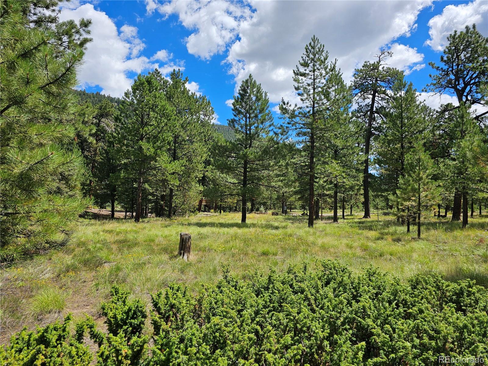 MLS Image #39 for 71  quail ridge ,antonito, Colorado