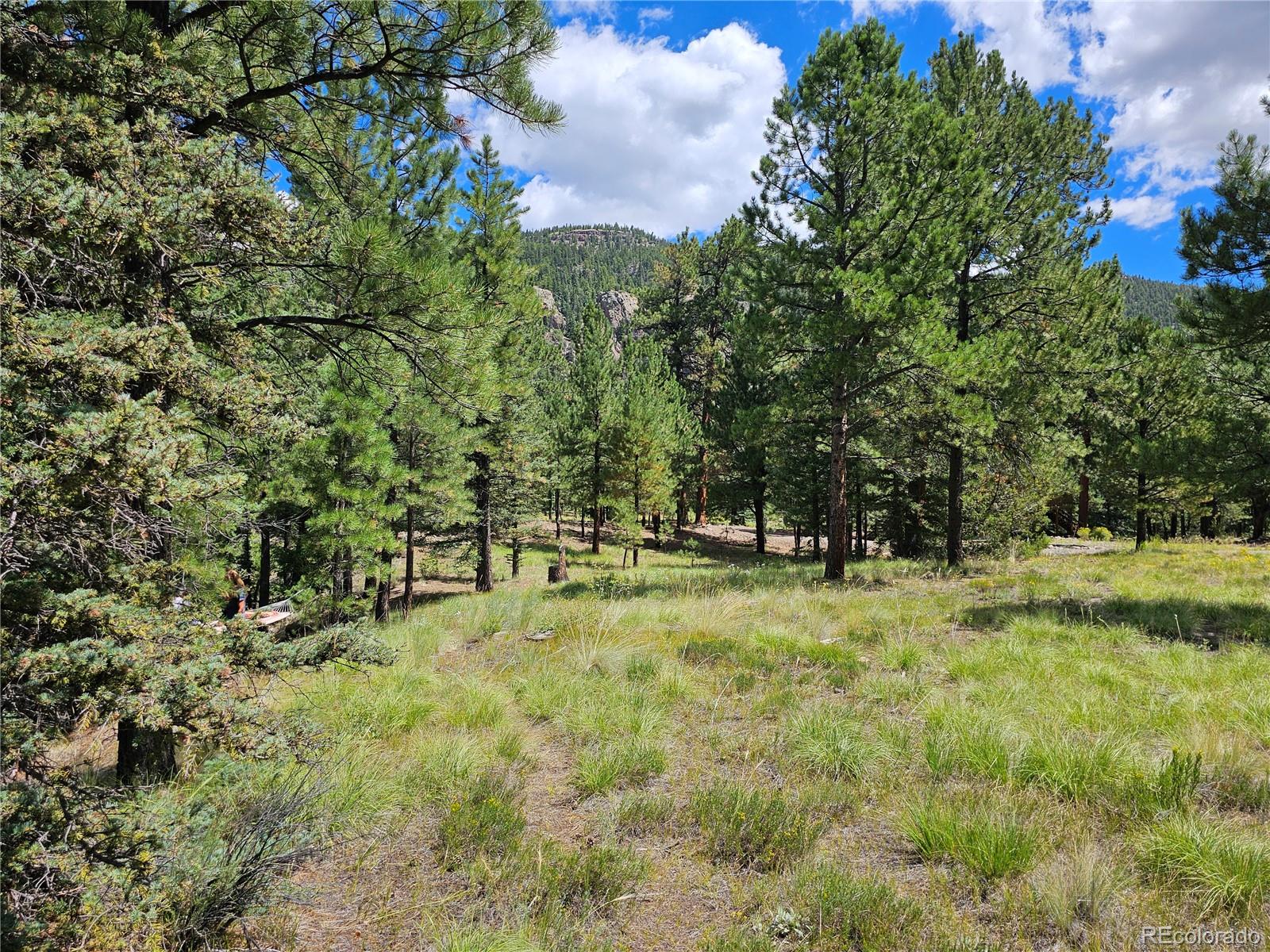 MLS Image #41 for 71  quail ridge ,antonito, Colorado