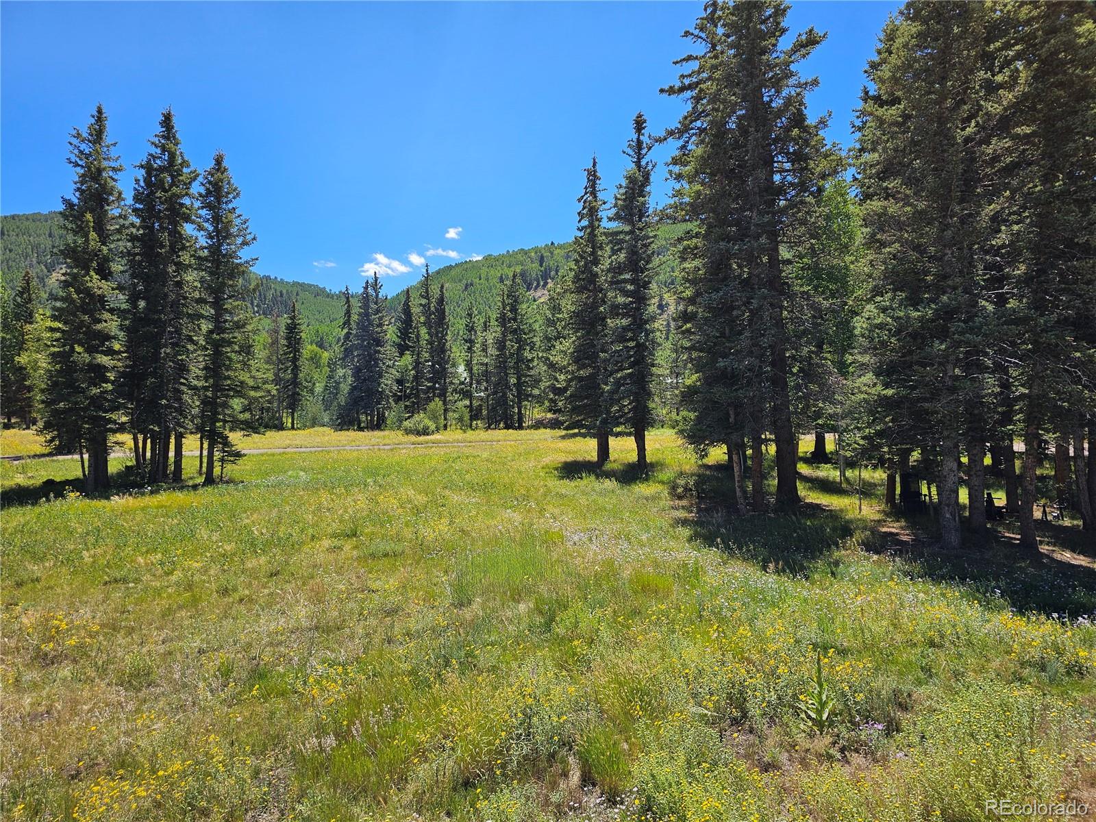 MLS Image #45 for 71  quail ridge ,antonito, Colorado