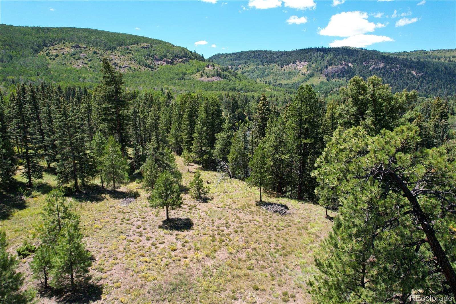 MLS Image #46 for 71  quail ridge ,antonito, Colorado