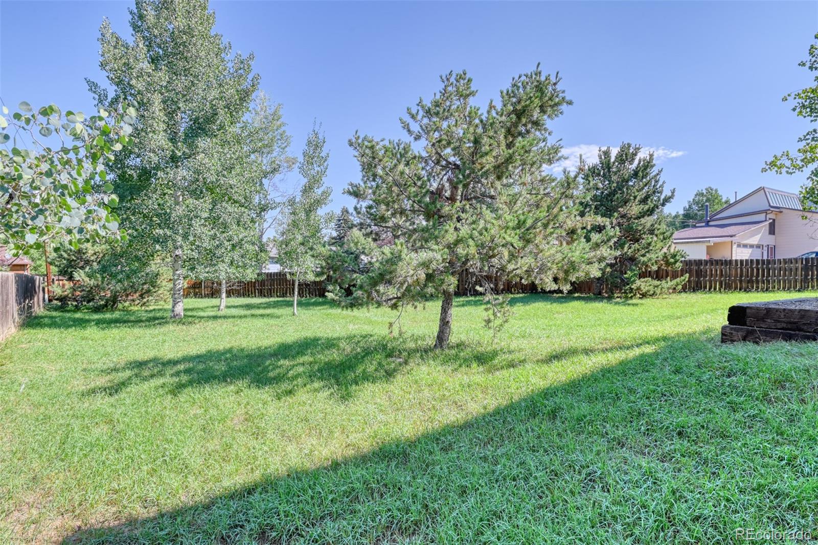 MLS Image #7 for 120  chulita senda ,woodland park, Colorado