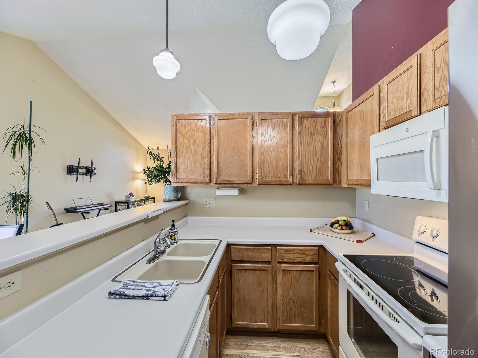 MLS Image #10 for 155 n bedford avenue,castle rock, Colorado