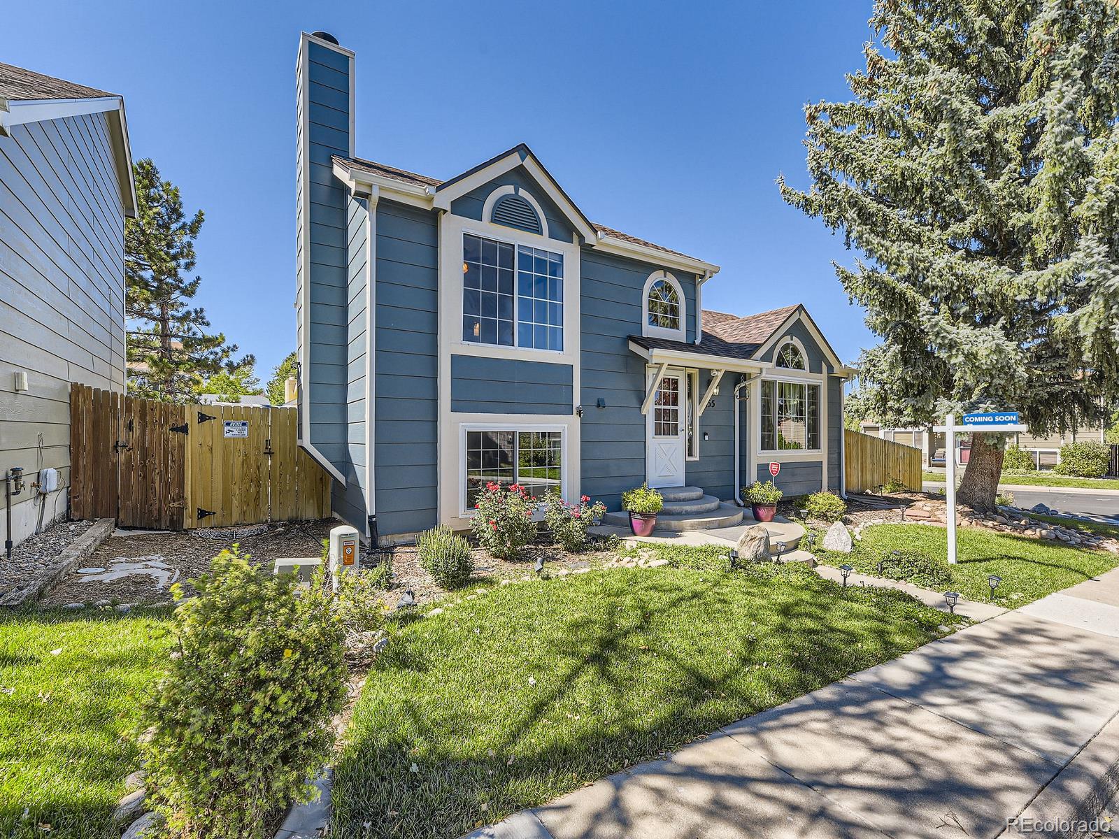 MLS Image #2 for 155 n bedford avenue,castle rock, Colorado