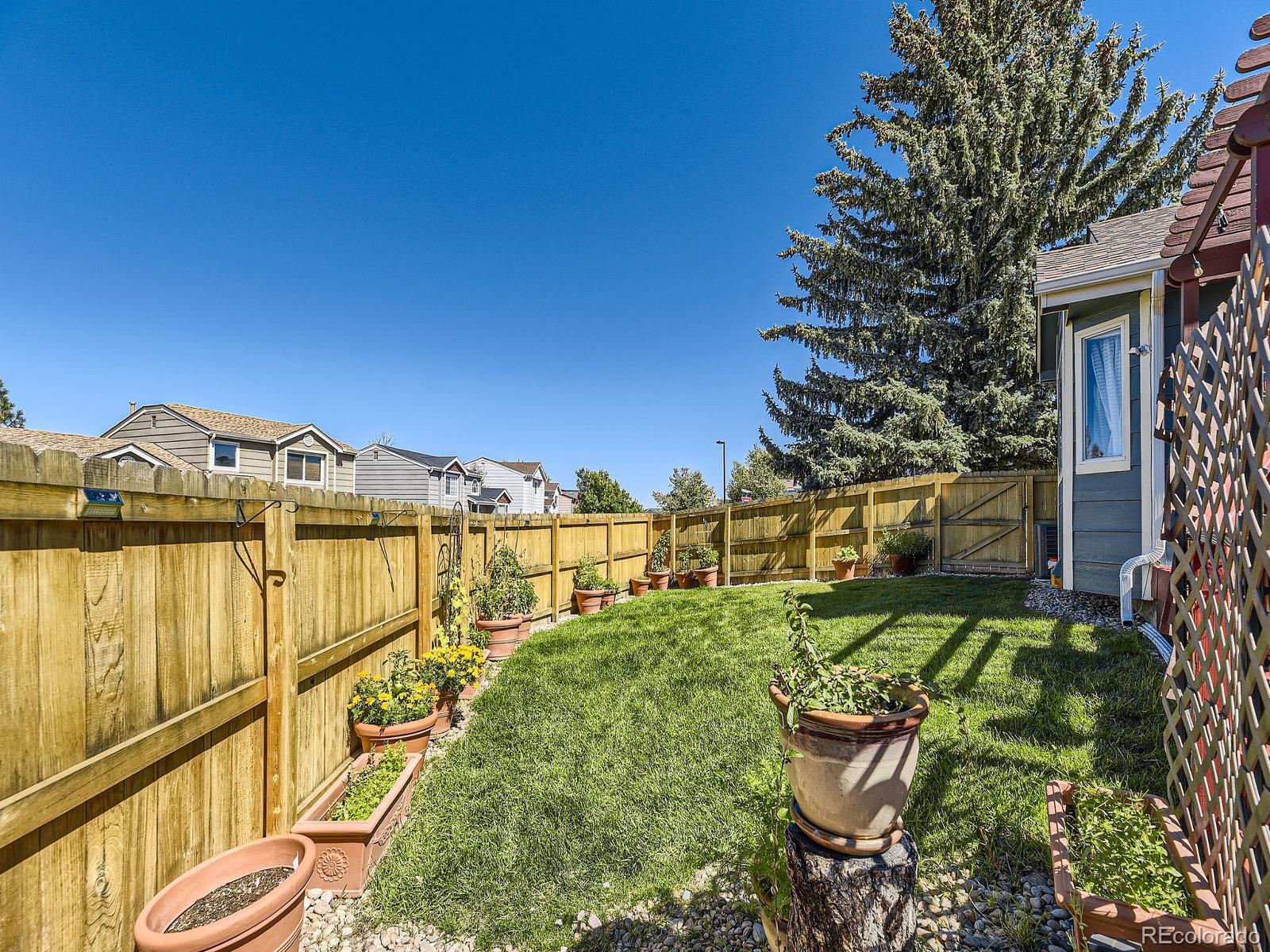 MLS Image #25 for 155 n bedford avenue,castle rock, Colorado