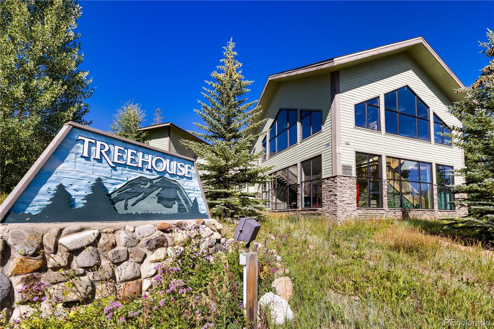 MLS Image #13 for 4200  lodge pole circle,silverthorne, Colorado