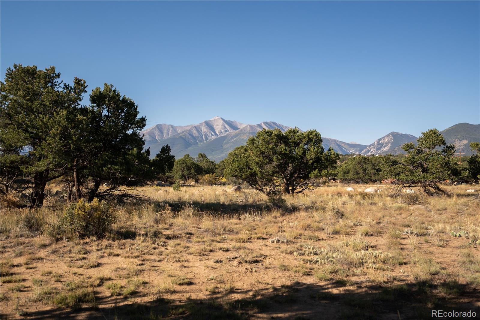 MLS Image #6 for 13240  county road 353 road,buena vista, Colorado