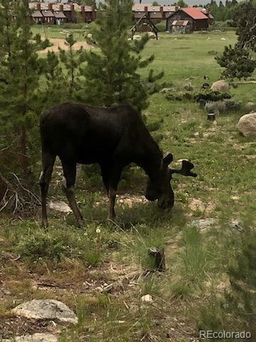 MLS Image #26 for 20  gcr 4435 ,grand lake, Colorado