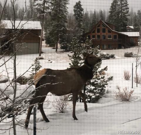 MLS Image #32 for 20  gcr 4435 ,grand lake, Colorado