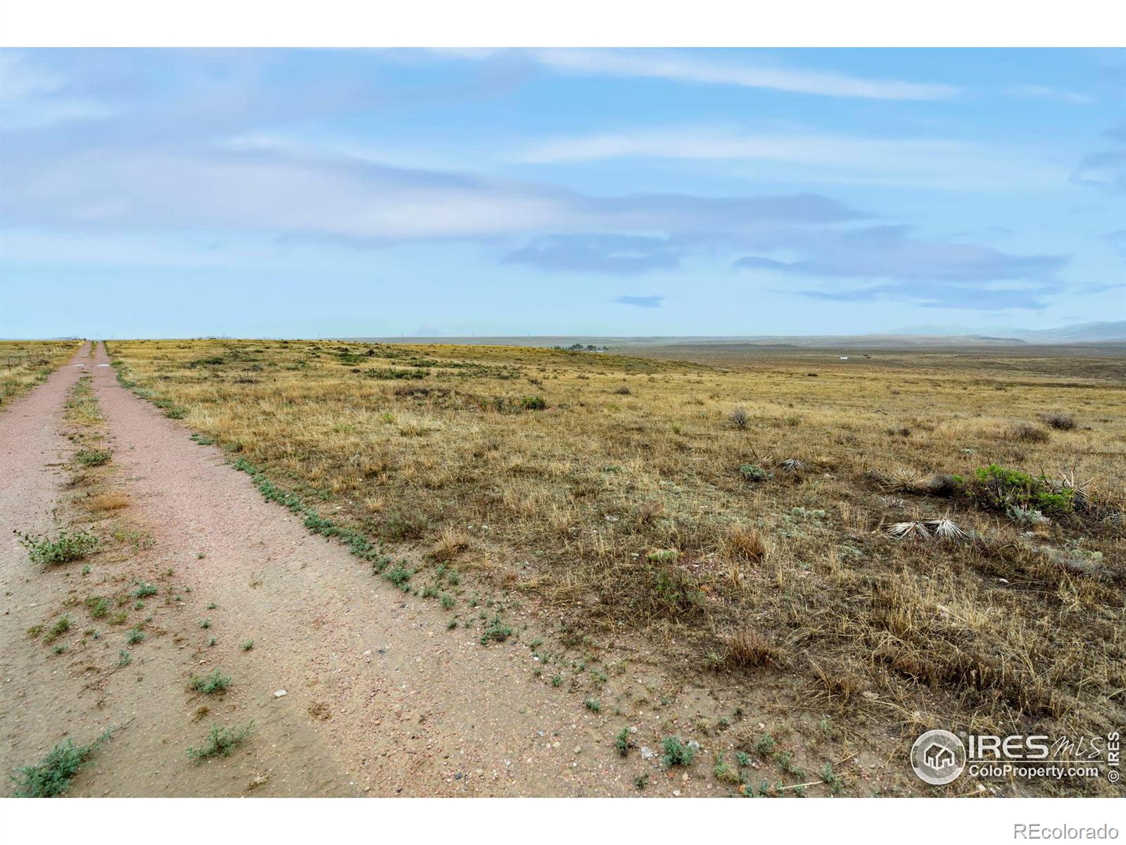 MLS Image #10 for 610 w county road 84 ,wellington, Colorado