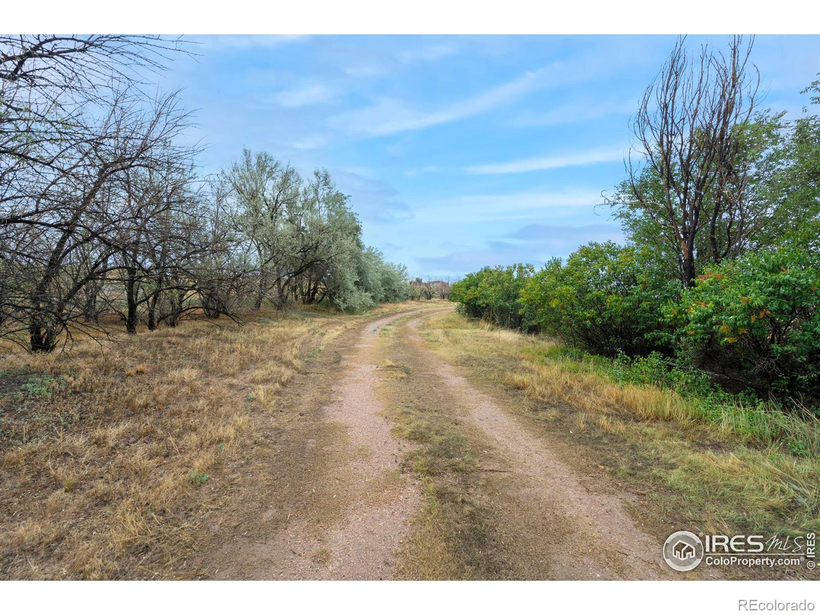 MLS Image #2 for 610 w county road 84 ,wellington, Colorado