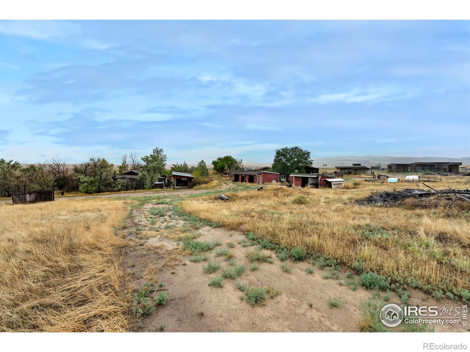 MLS Image #4 for 610 w county road 84 ,wellington, Colorado