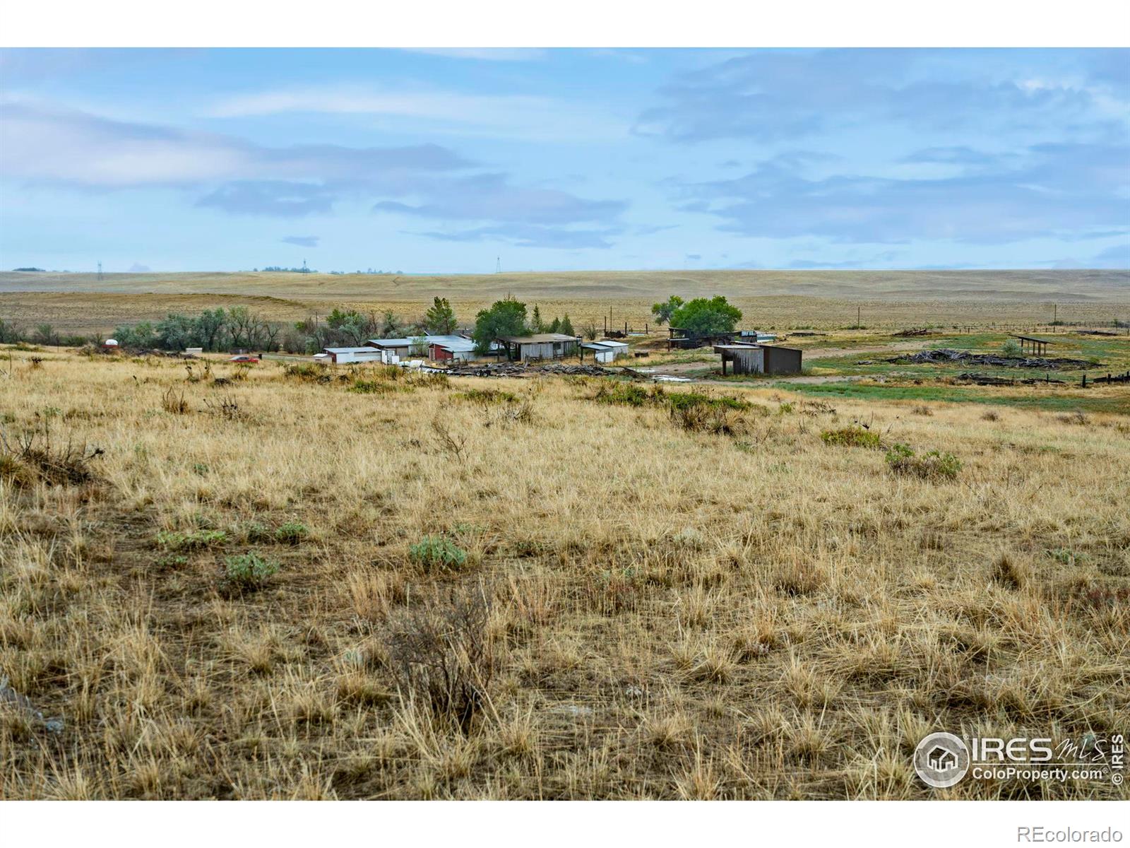 MLS Image #5 for 610 w county road 84 ,wellington, Colorado