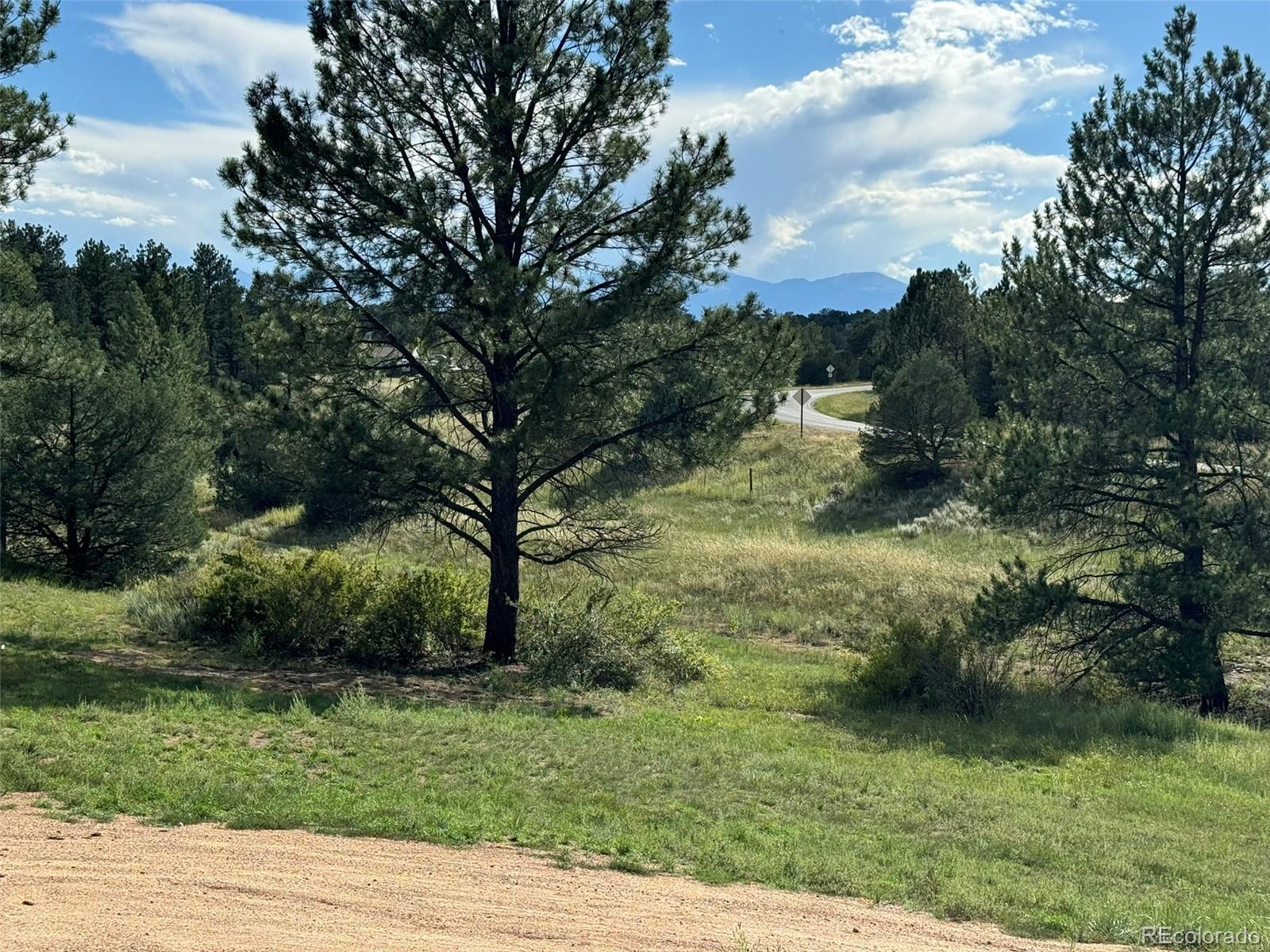 MLS Image #23 for 7152  copper gulch road,cotopaxi, Colorado