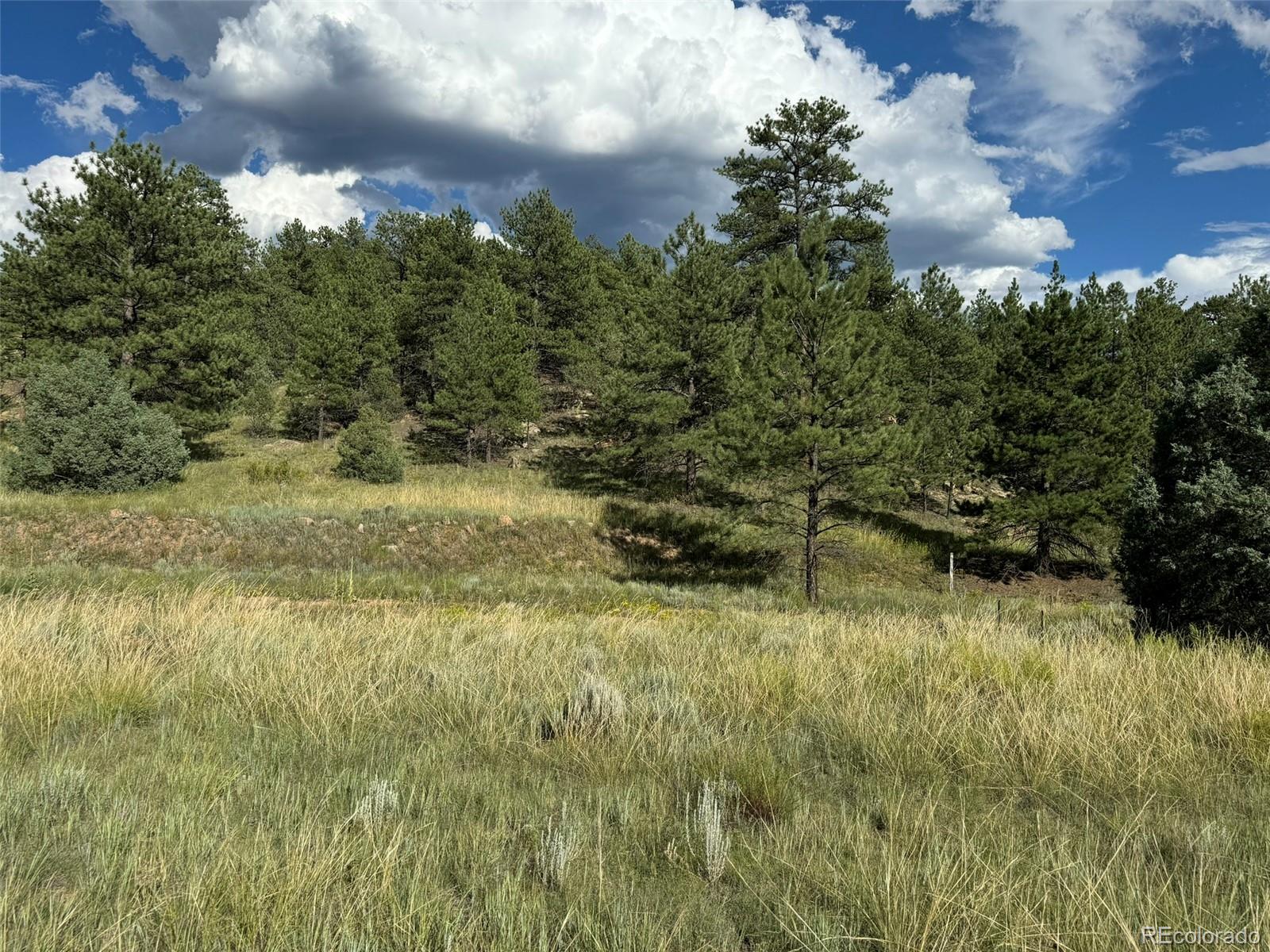 MLS Image #24 for 7152  copper gulch road,cotopaxi, Colorado