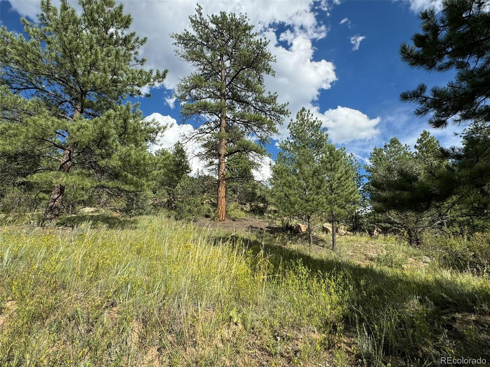 MLS Image #25 for 7152  copper gulch road,cotopaxi, Colorado