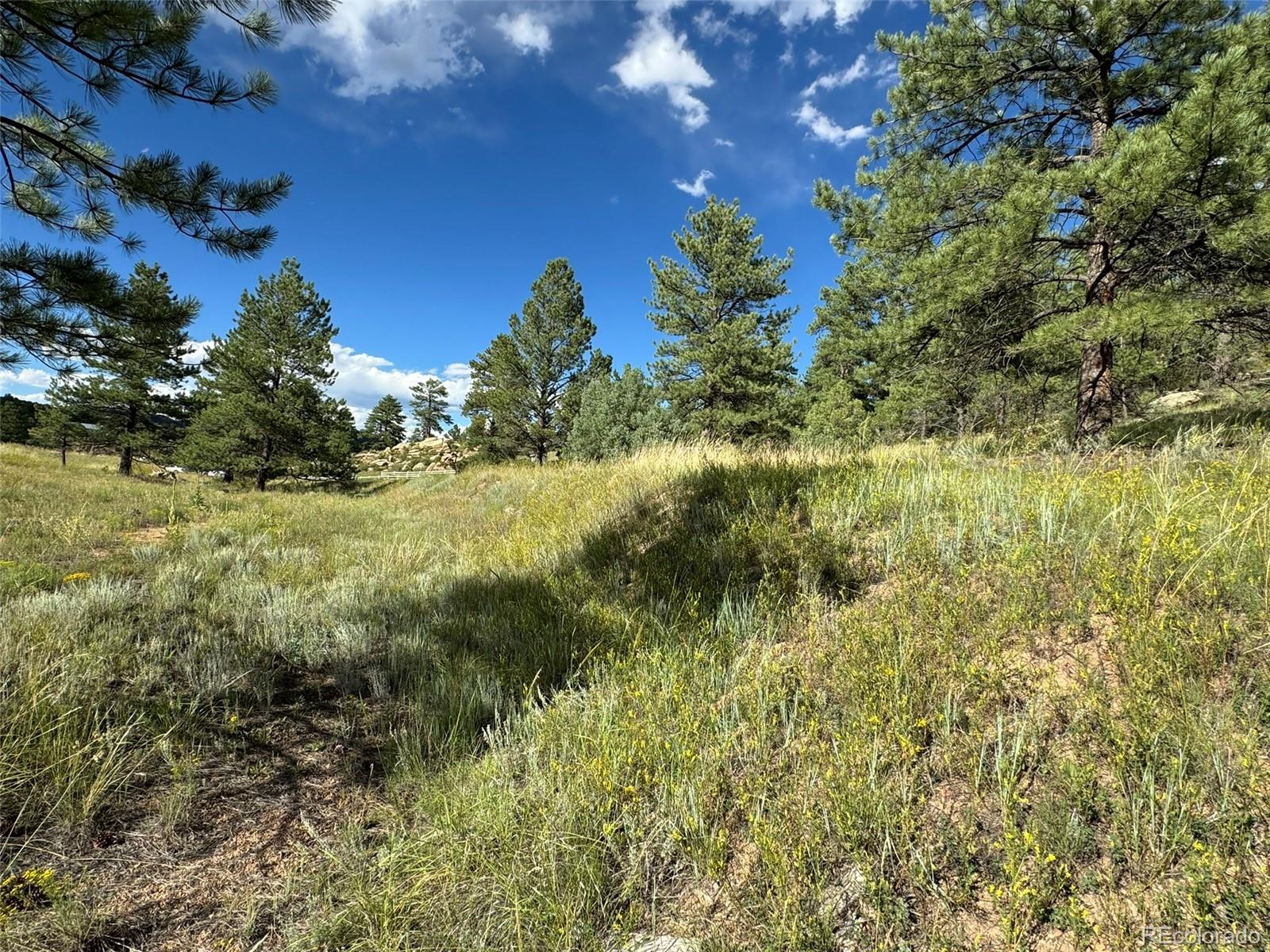 MLS Image #26 for 7152  copper gulch road,cotopaxi, Colorado