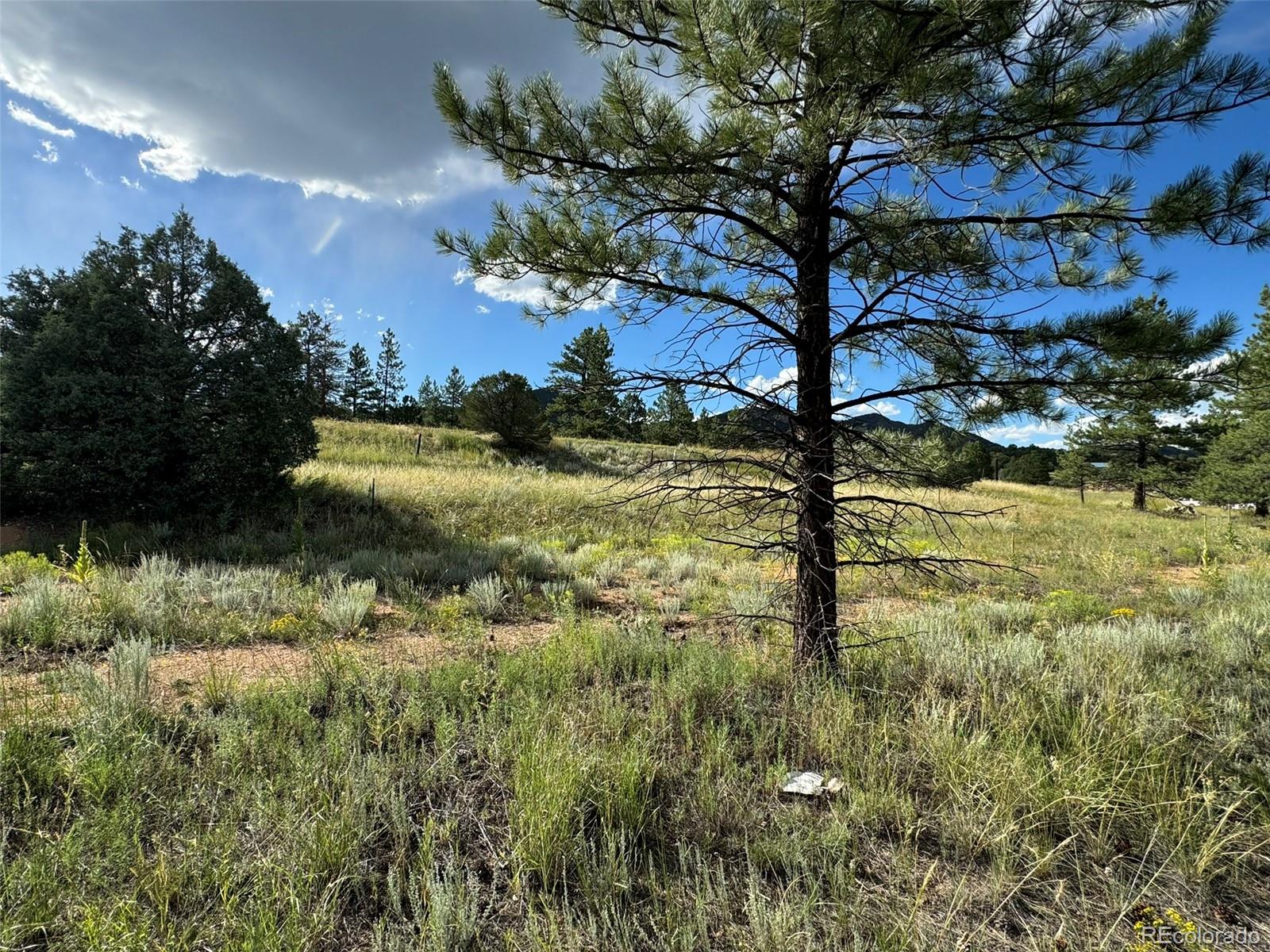 MLS Image #27 for 7152  copper gulch road,cotopaxi, Colorado