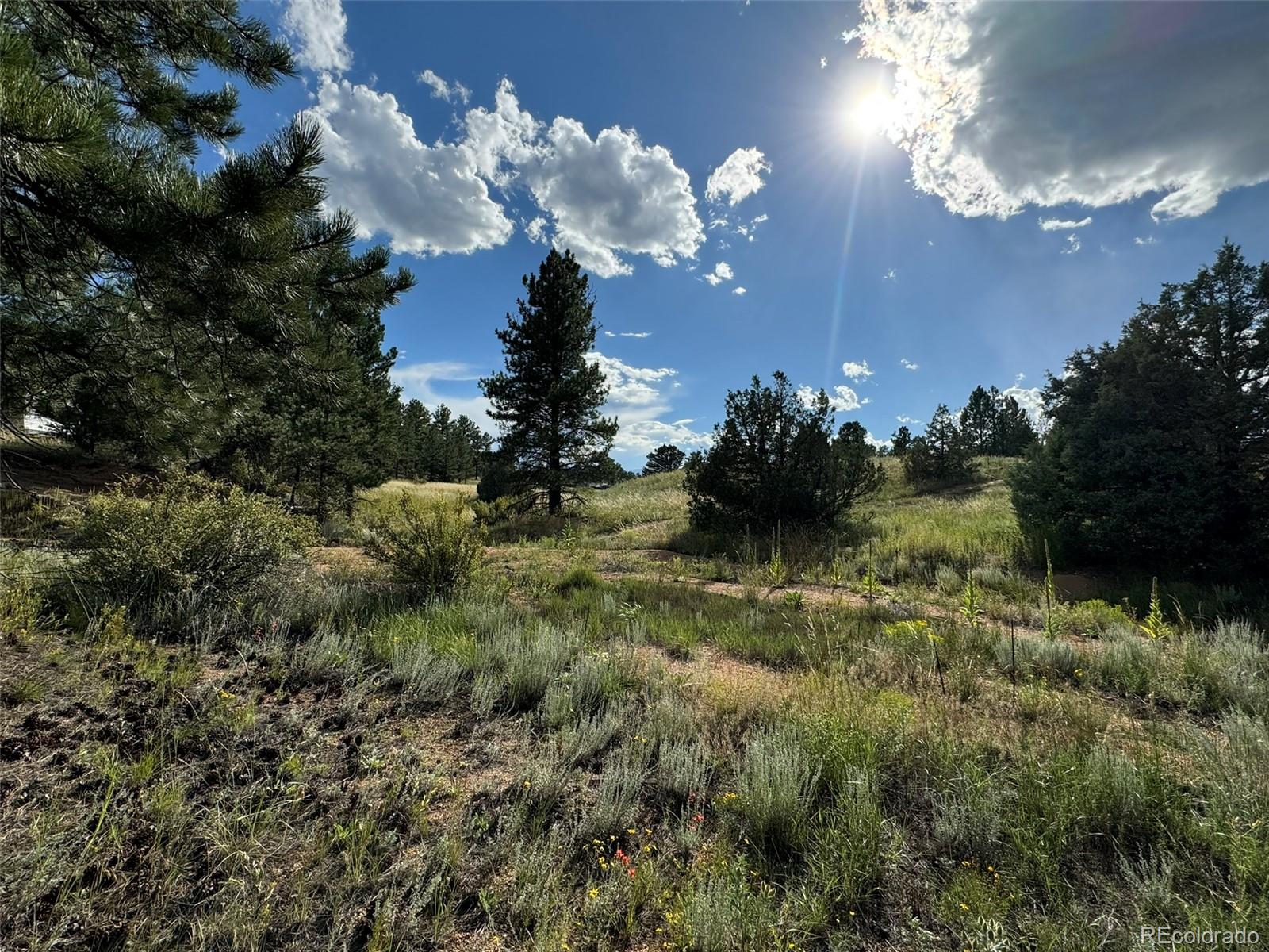 MLS Image #28 for 7152  copper gulch road,cotopaxi, Colorado