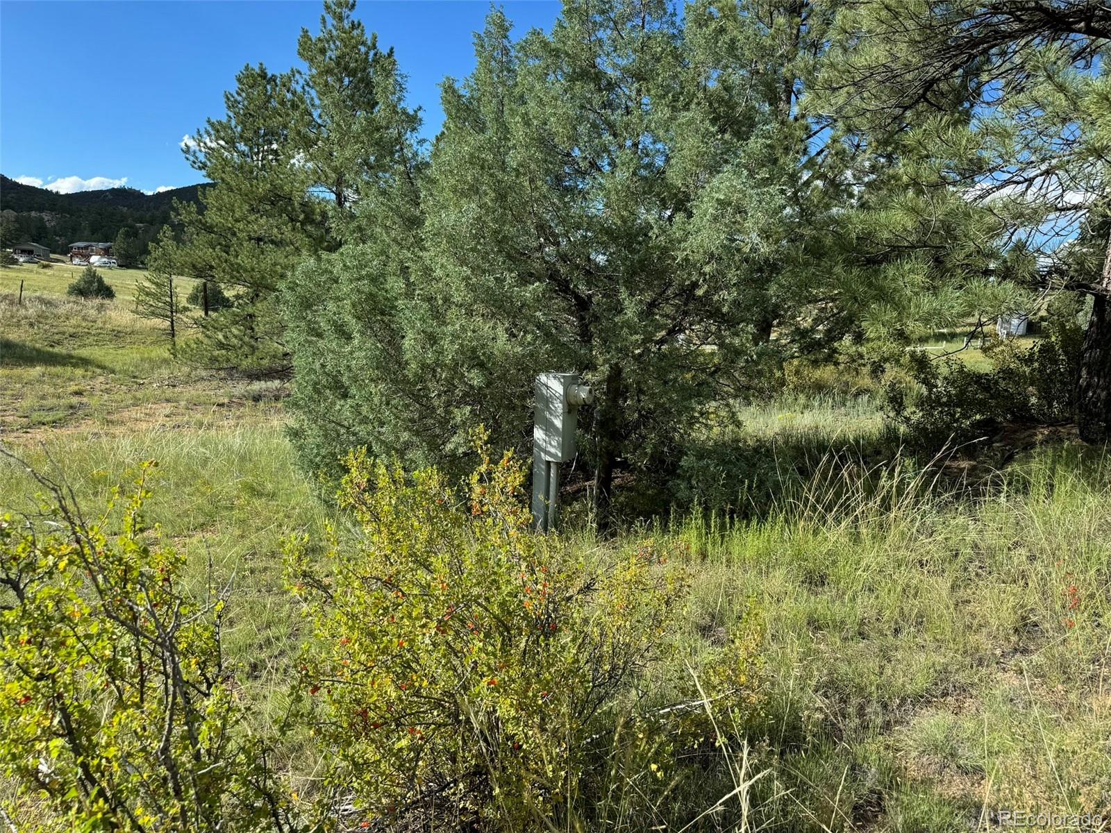 MLS Image #29 for 7152  copper gulch road,cotopaxi, Colorado