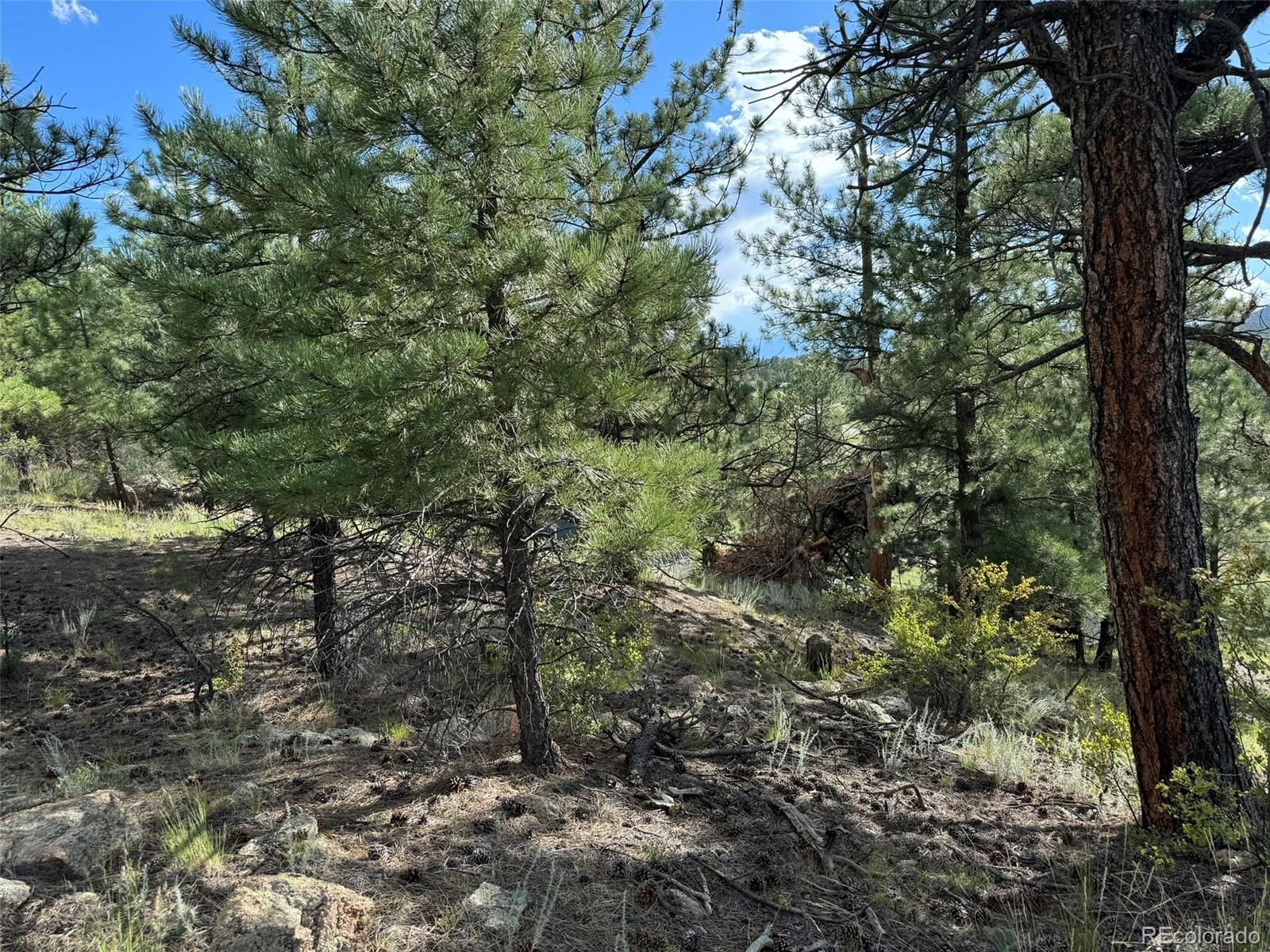 MLS Image #36 for 7152  copper gulch road,cotopaxi, Colorado