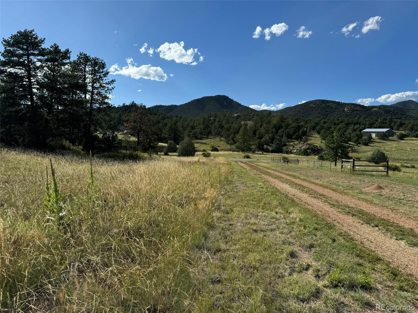 MLS Image #37 for 7152  copper gulch road,cotopaxi, Colorado