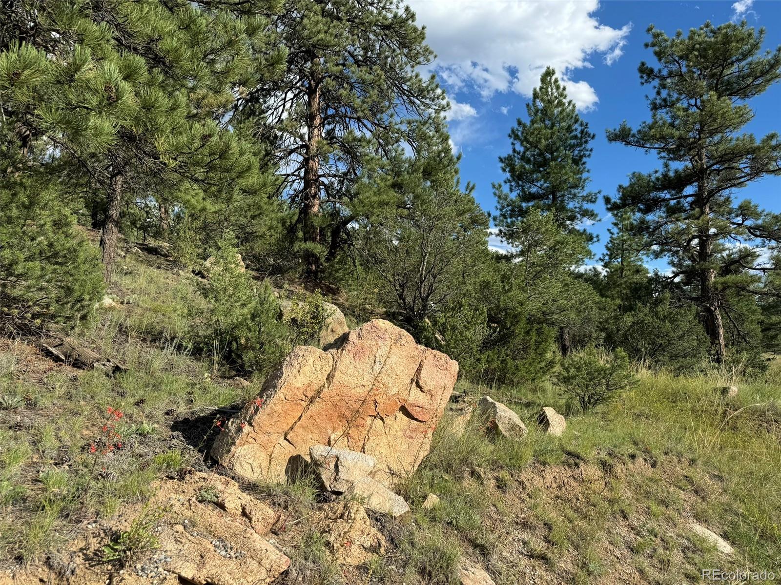 MLS Image #38 for 7152  copper gulch road,cotopaxi, Colorado