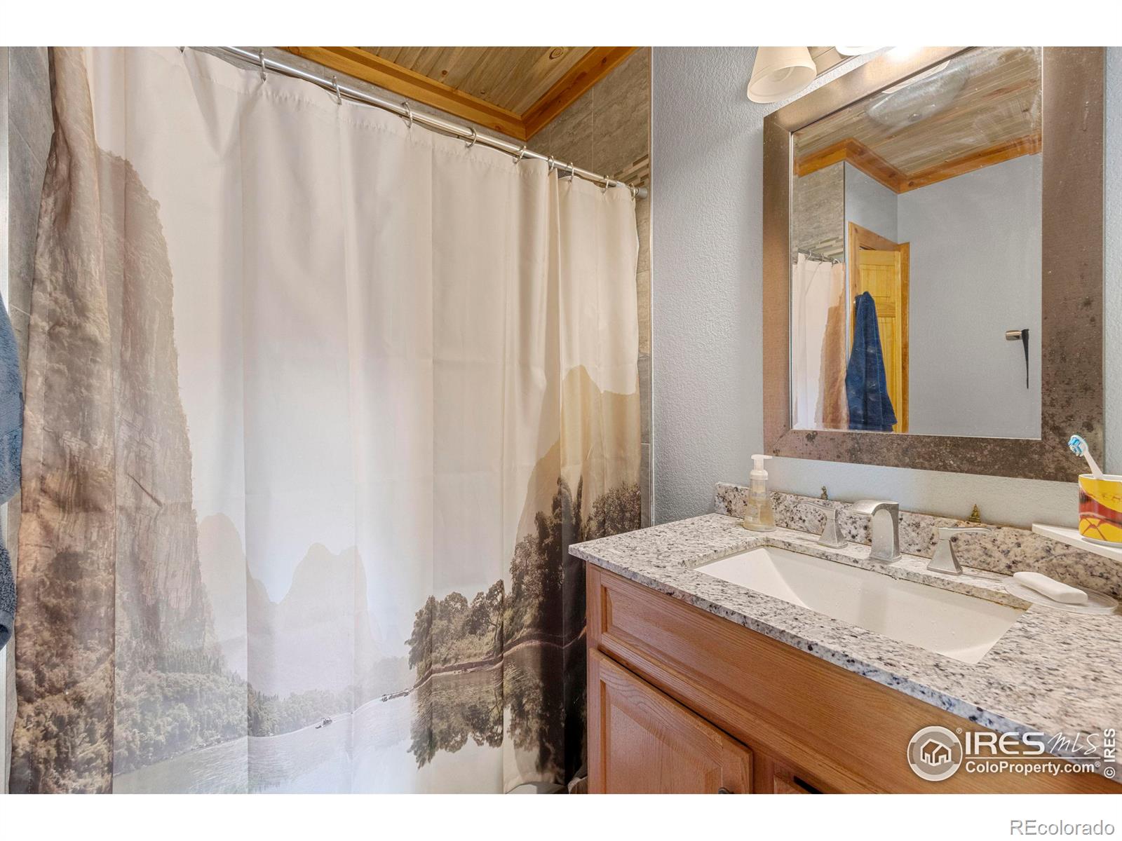 MLS Image #16 for 1239  ohana way,bellvue, Colorado