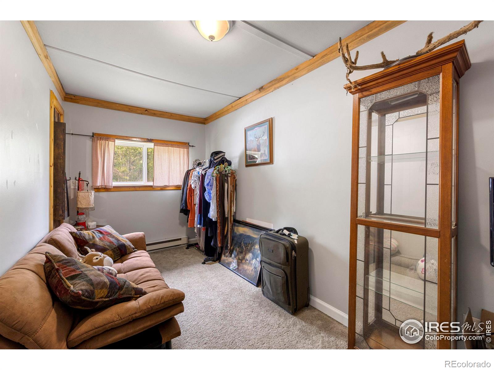 MLS Image #21 for 1239  ohana way,bellvue, Colorado