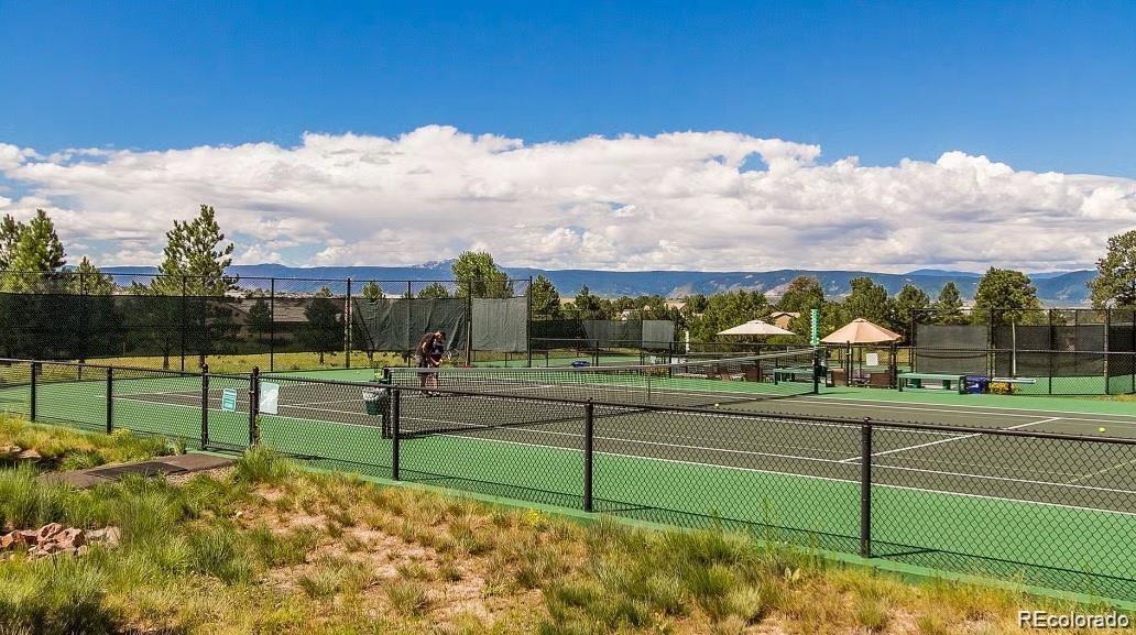 MLS Image #48 for 1187  lost elk loop,castle rock, Colorado