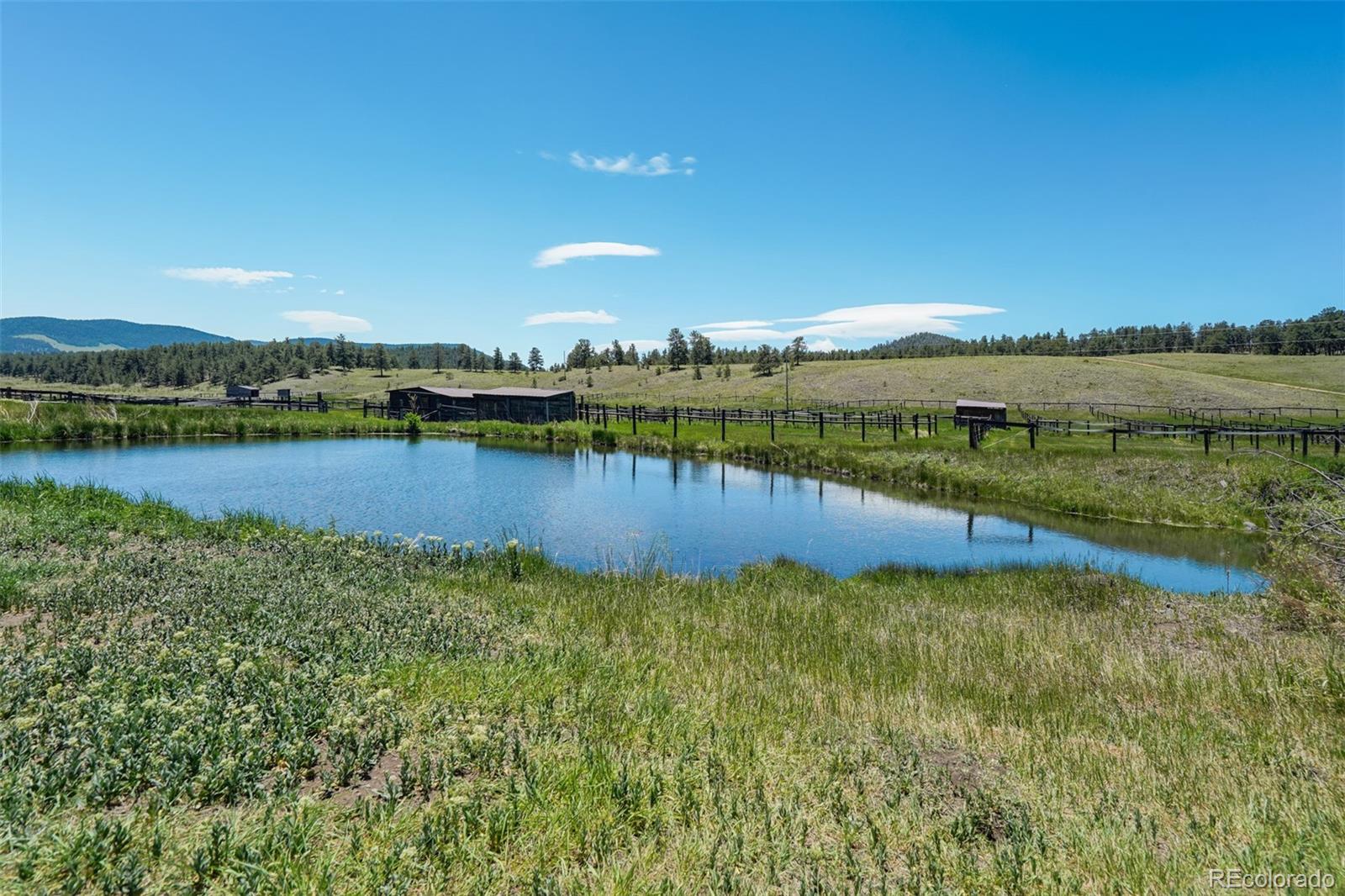 MLS Image #11 for 864  county rd 132 ,guffey, Colorado