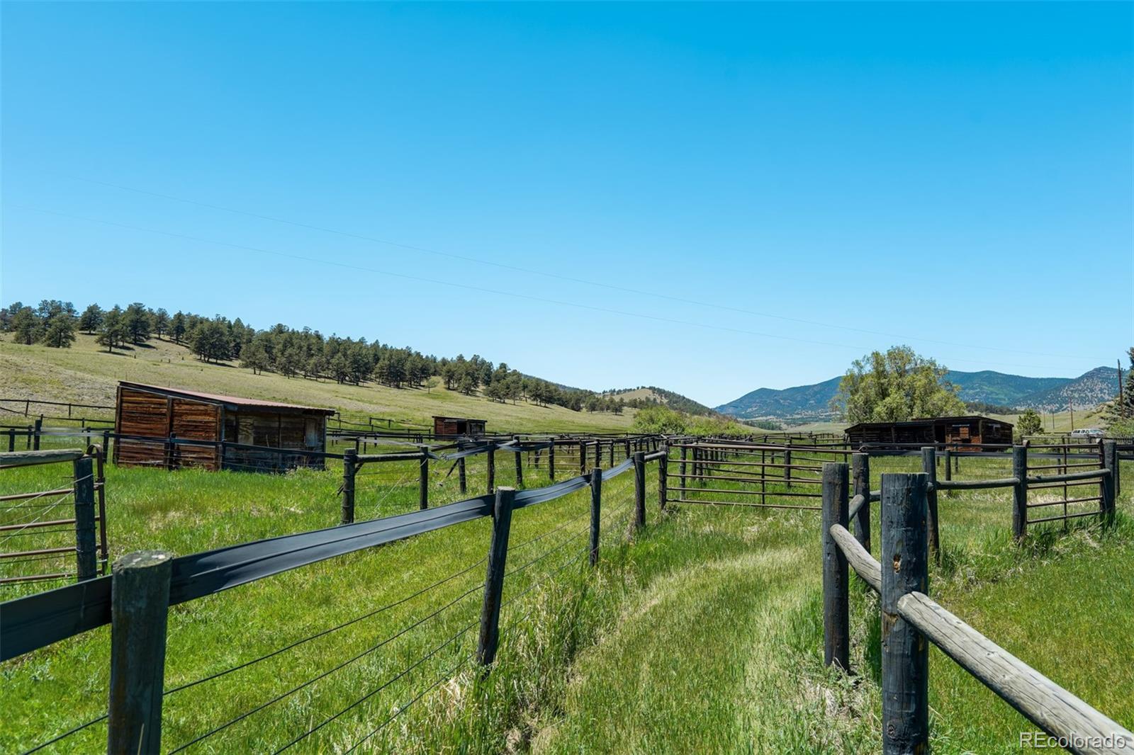 MLS Image #23 for 864  county rd 132 ,guffey, Colorado