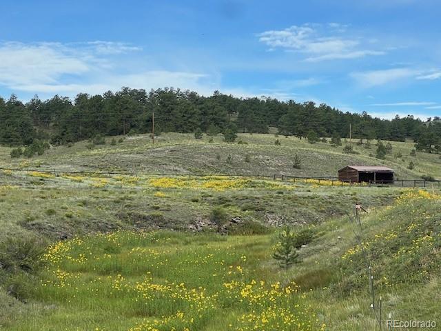 MLS Image #26 for 864  county rd 132 ,guffey, Colorado