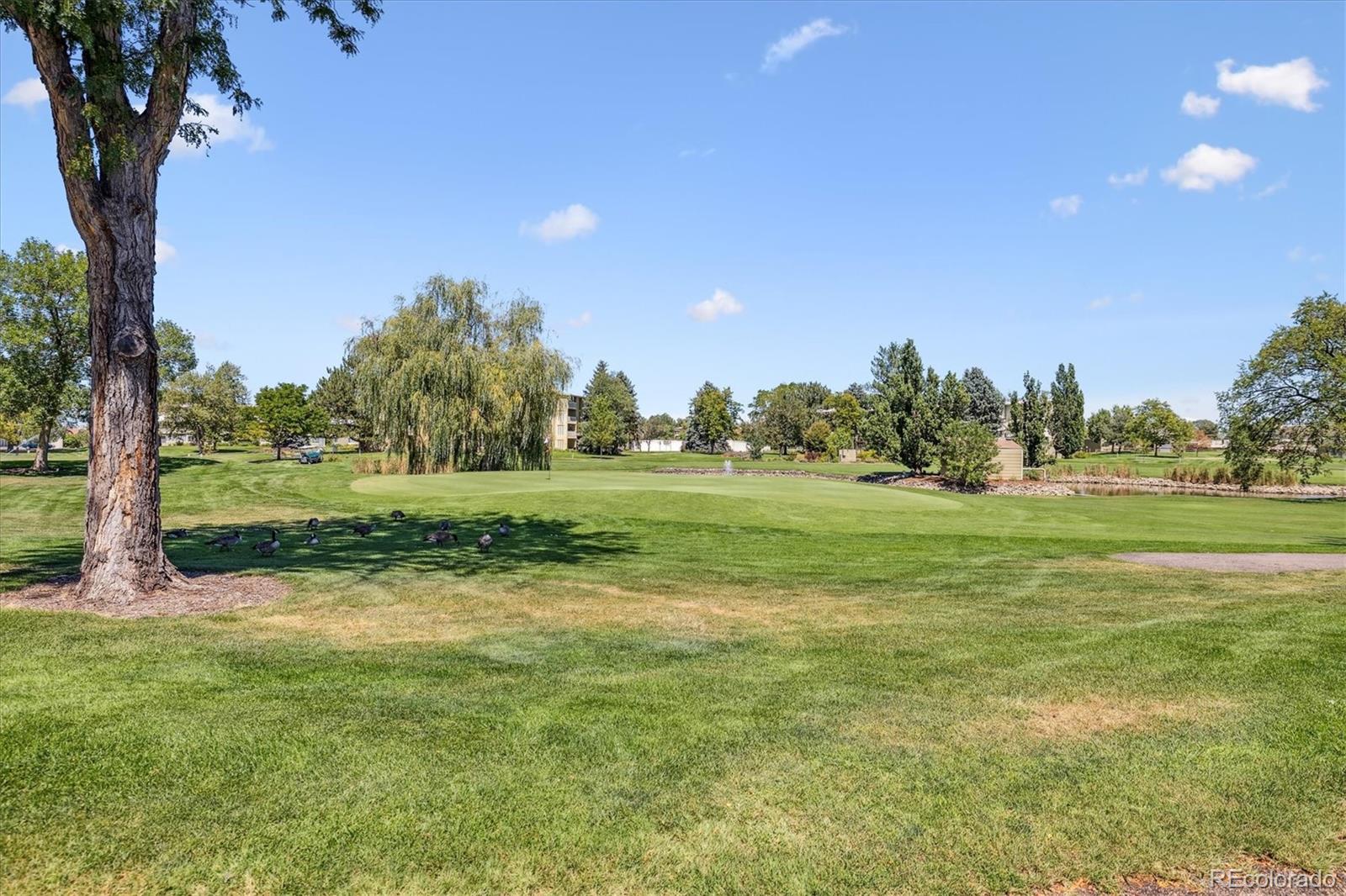 MLS Image #17 for 650 s alton way,denver, Colorado