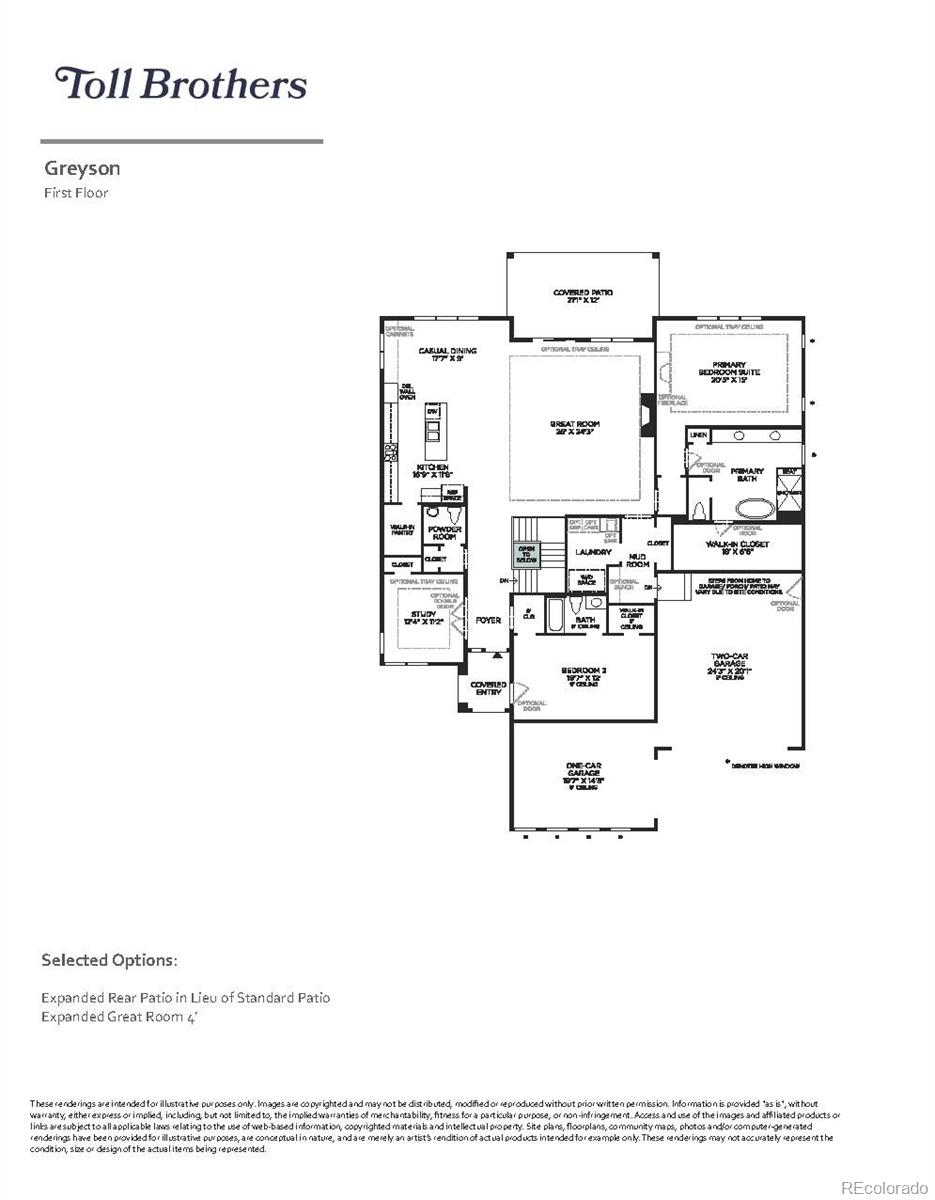 MLS Image #11 for 492  agoseris way,castle rock, Colorado