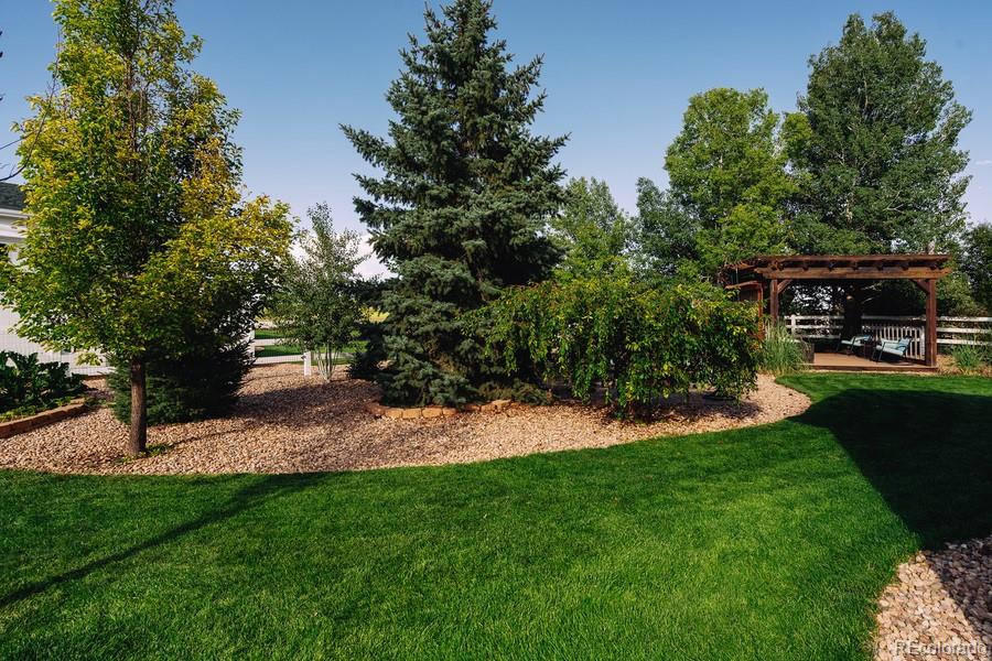 MLS Image #9 for 1316  park ridge drive,severance, Colorado