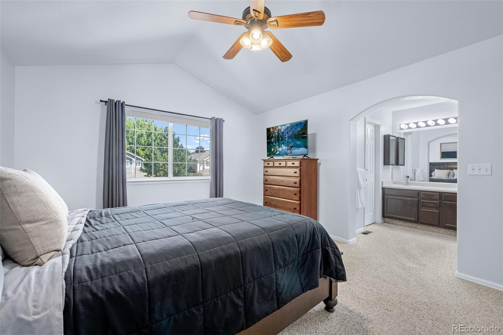 MLS Image #23 for 352  english sparrow drive,highlands ranch, Colorado