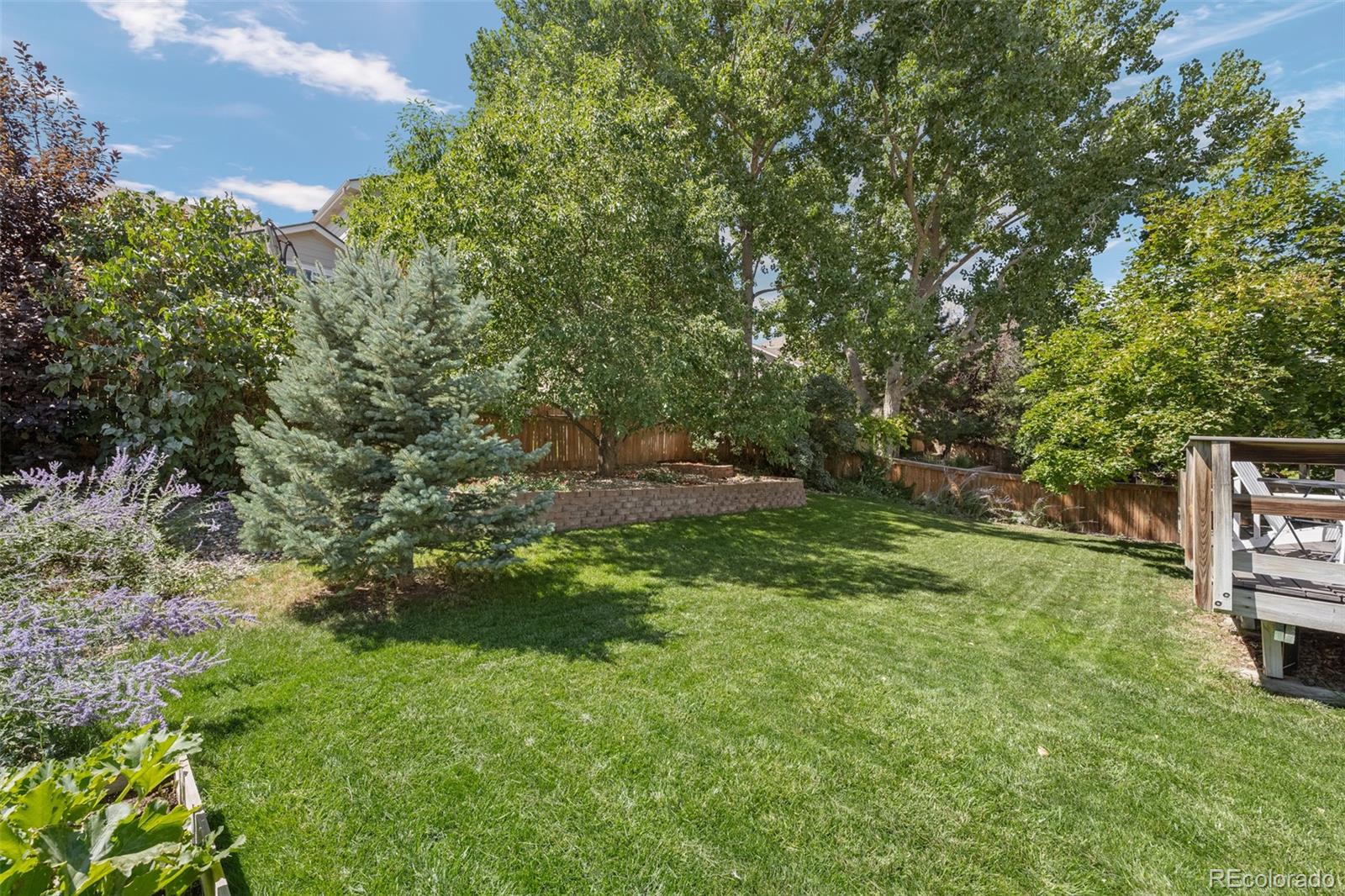 MLS Image #42 for 352  english sparrow drive,highlands ranch, Colorado