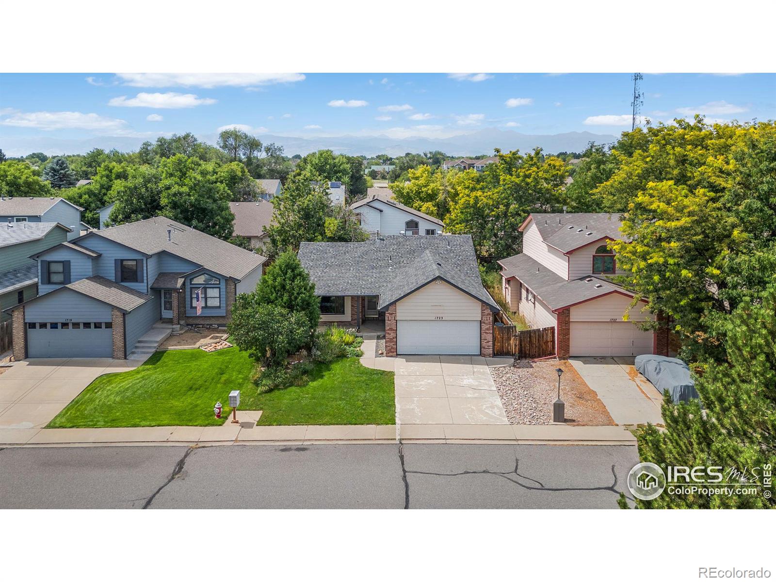 MLS Image #3 for 1723  sumac street,longmont, Colorado